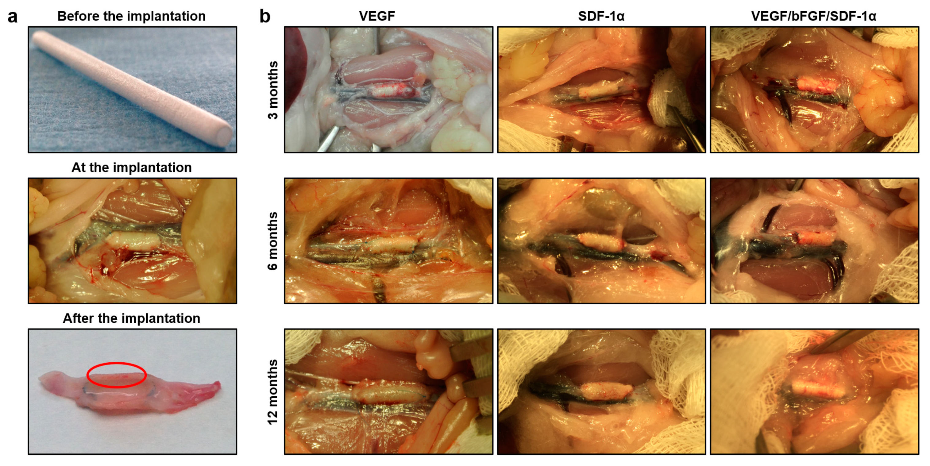 Pharmaceuticals 14 00302 g004