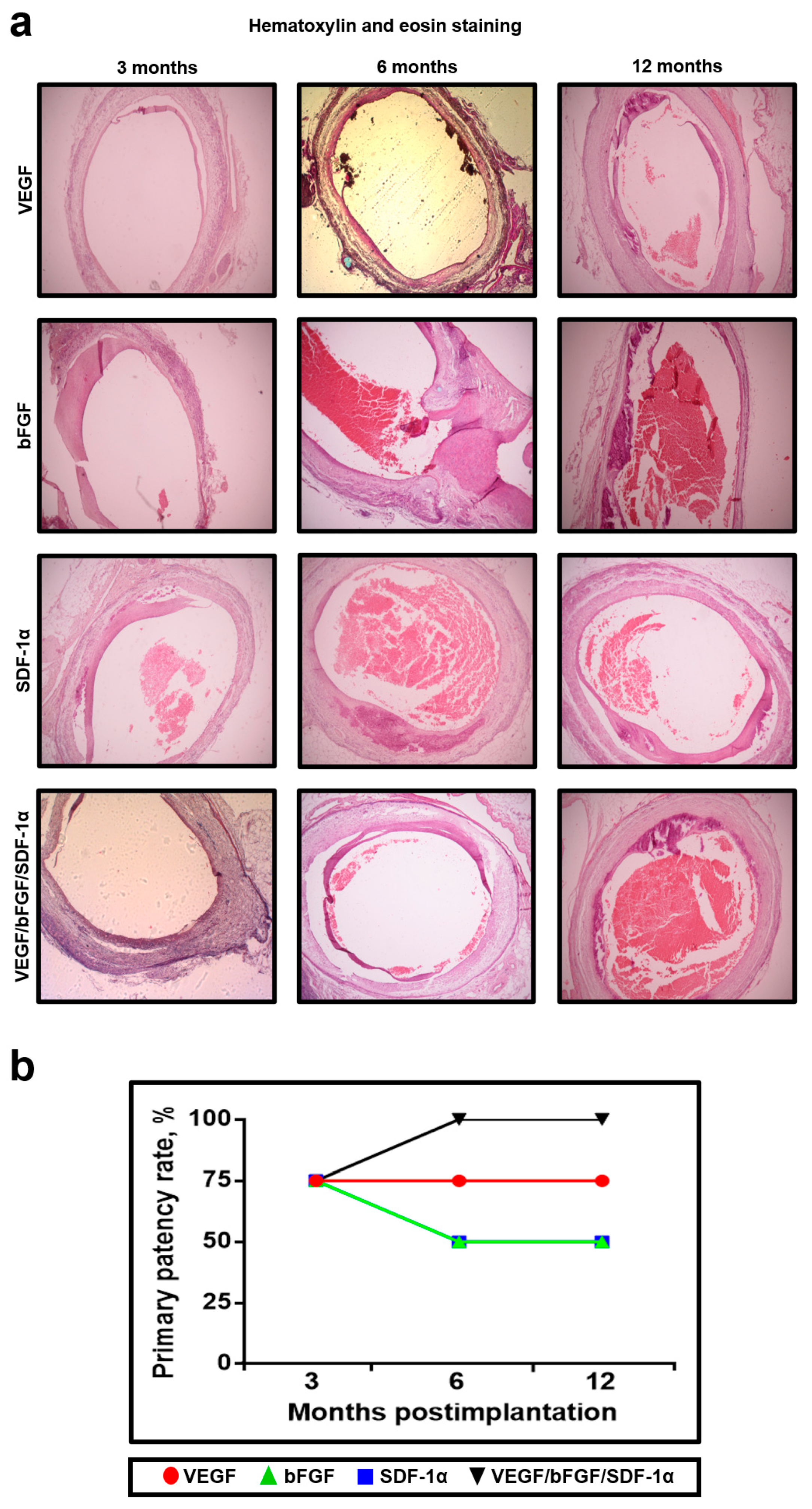 Pharmaceuticals 14 00302 g005