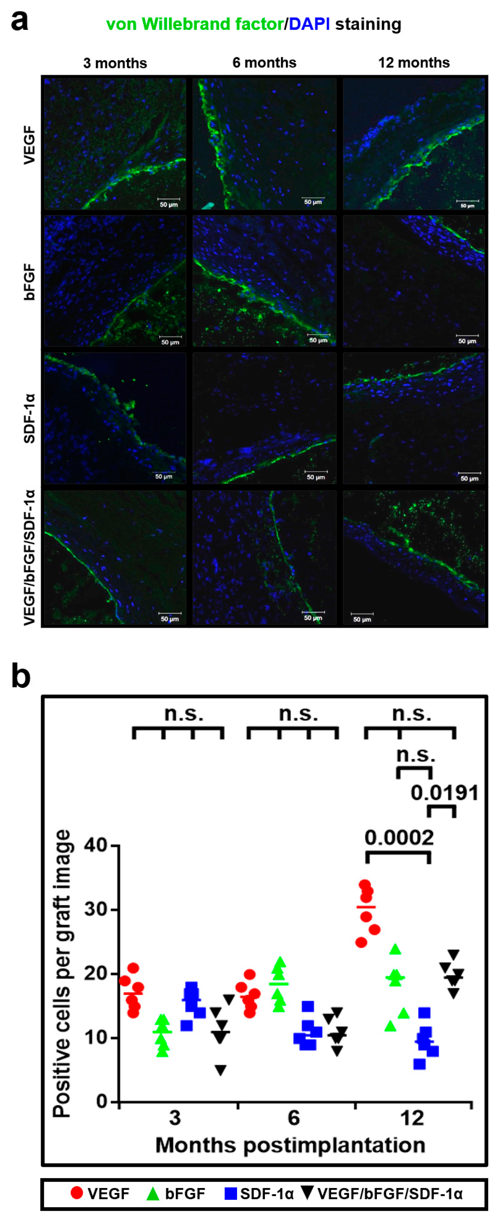 Pharmaceuticals 14 00302 g007