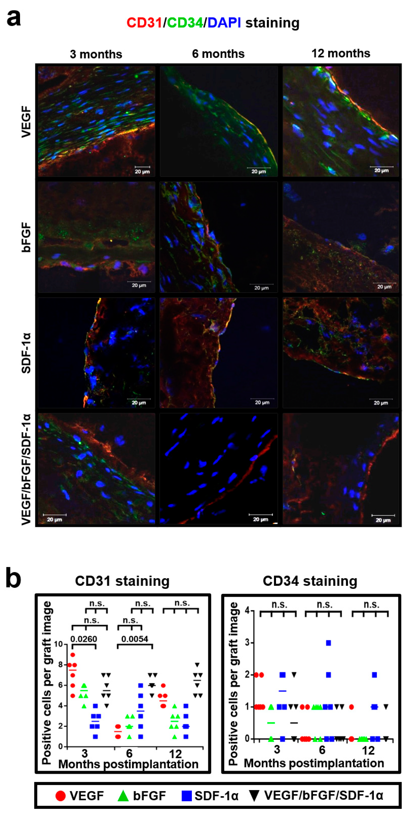 Pharmaceuticals 14 00302 g008