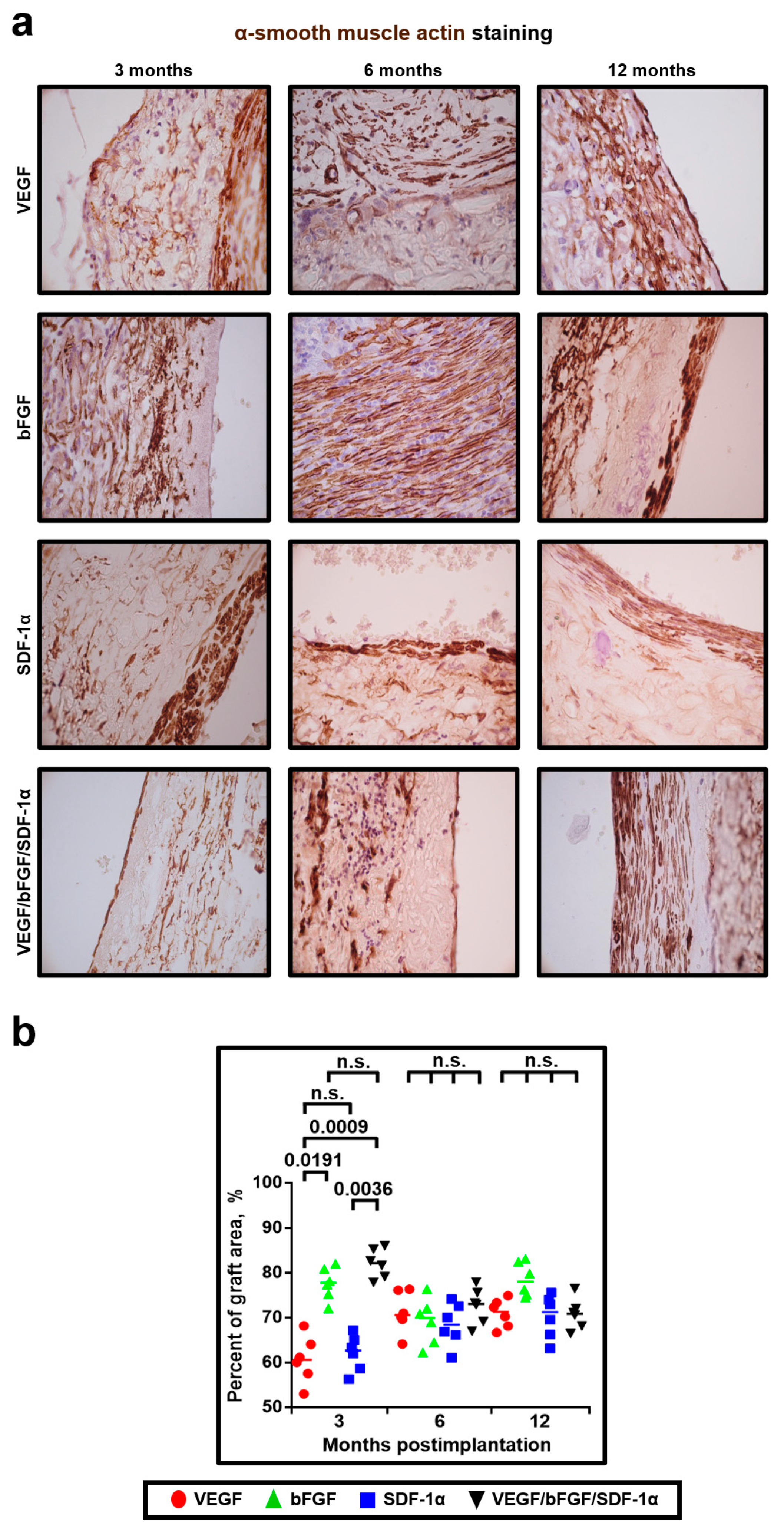 Pharmaceuticals 14 00302 g009
