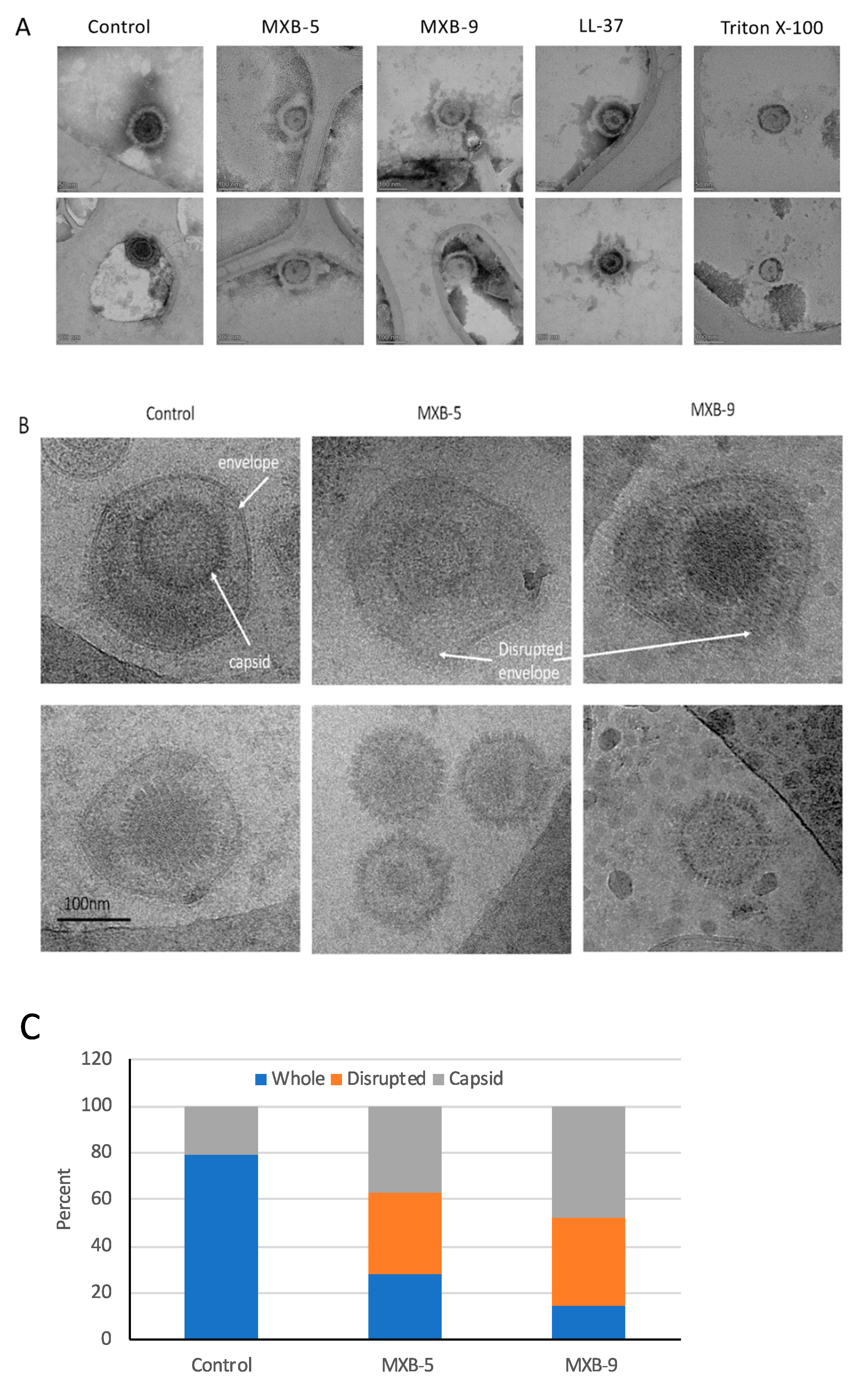 Pharmaceuticals 14 00304 g003
