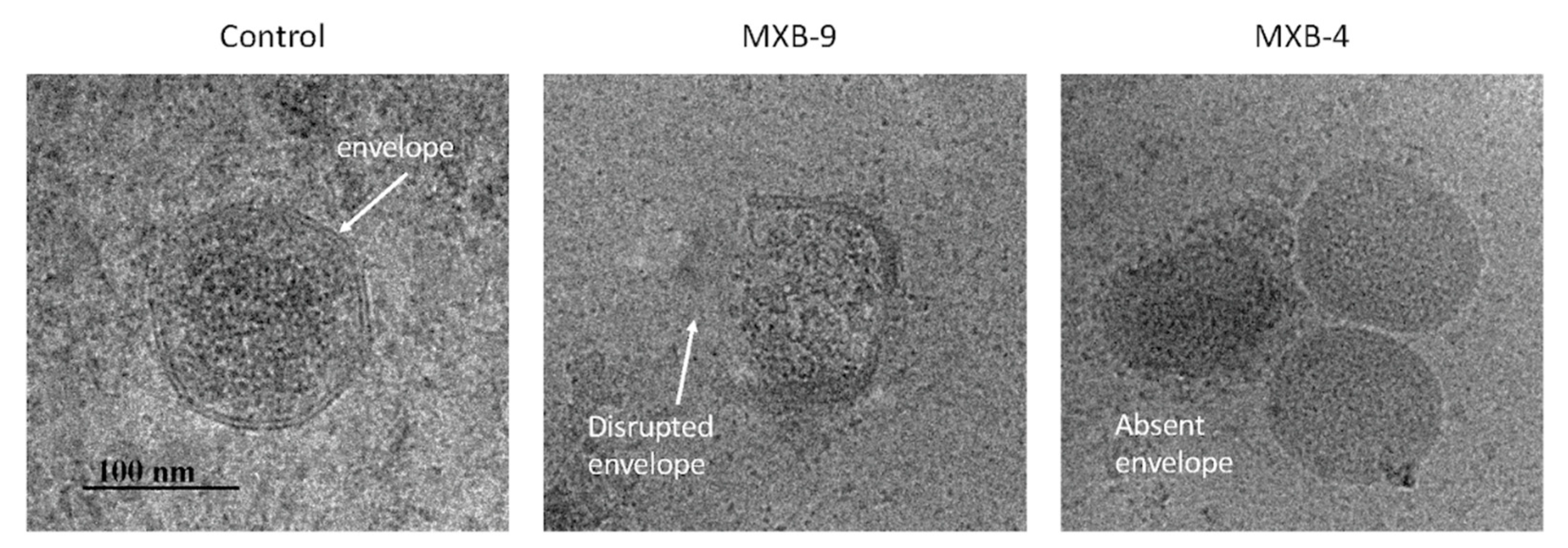 Pharmaceuticals 14 00304 g005