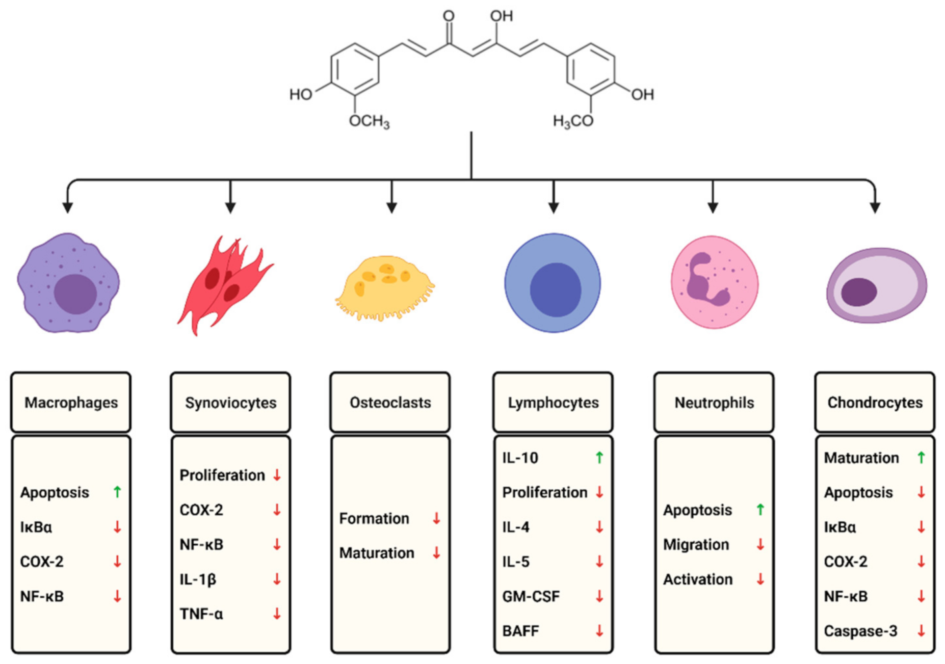 Pharmaceuticals 14 00309 g001 Pharmaceuticals 14 00309 g001