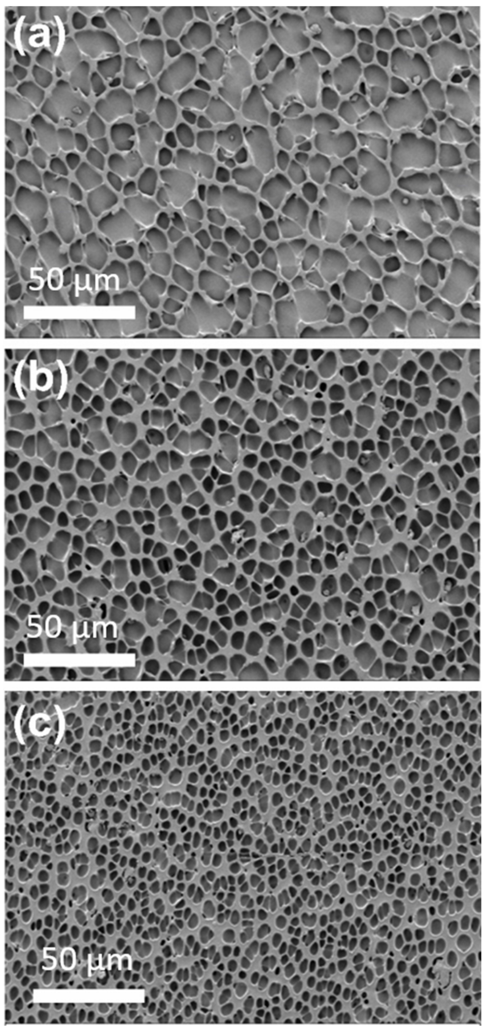 Pharmaceuticals 14 00311 g001 Pharmaceuticals 14 00311 g001