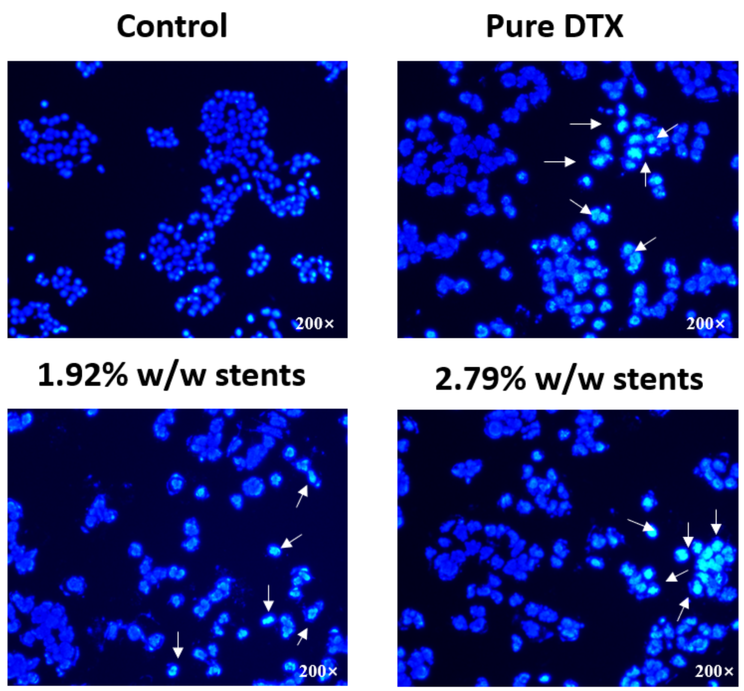 Pharmaceuticals 14 00311 g005 Pharmaceuticals 14 00311 g005