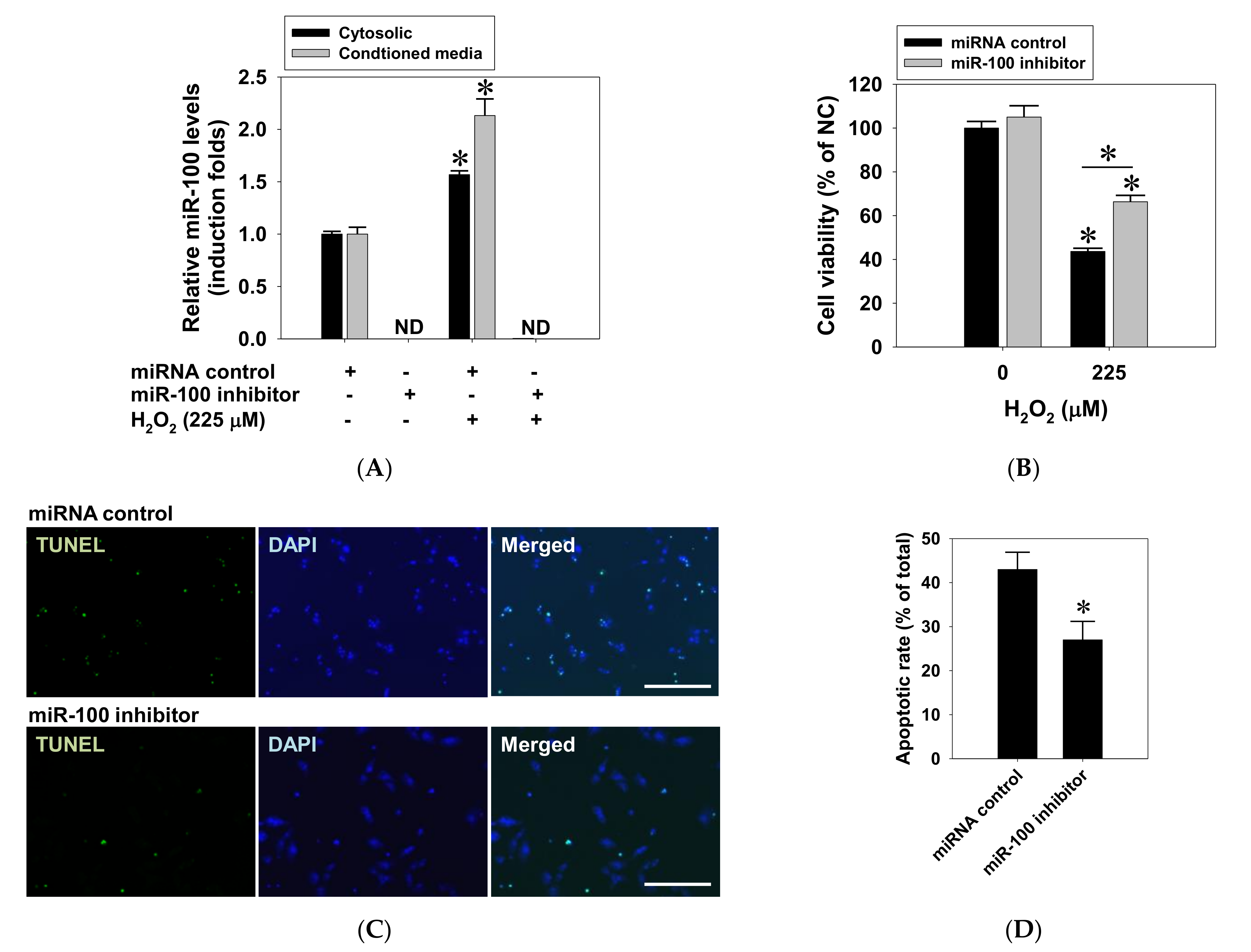 Pharmaceuticals 14 00314 g005 Pharmaceuticals 14 00314 g005
