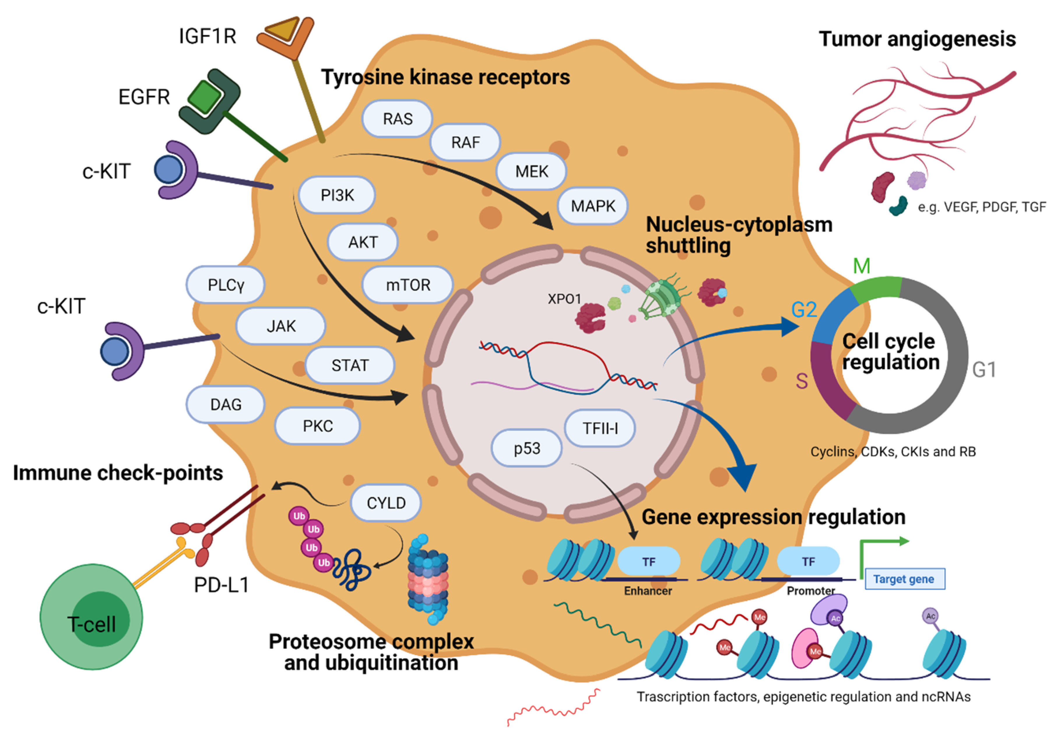 Pharmaceuticals 14 00316 g001