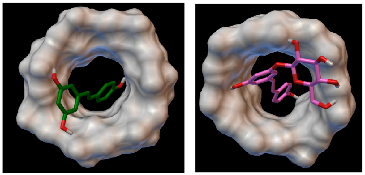 Pharmaceuticals 14 00319 g005