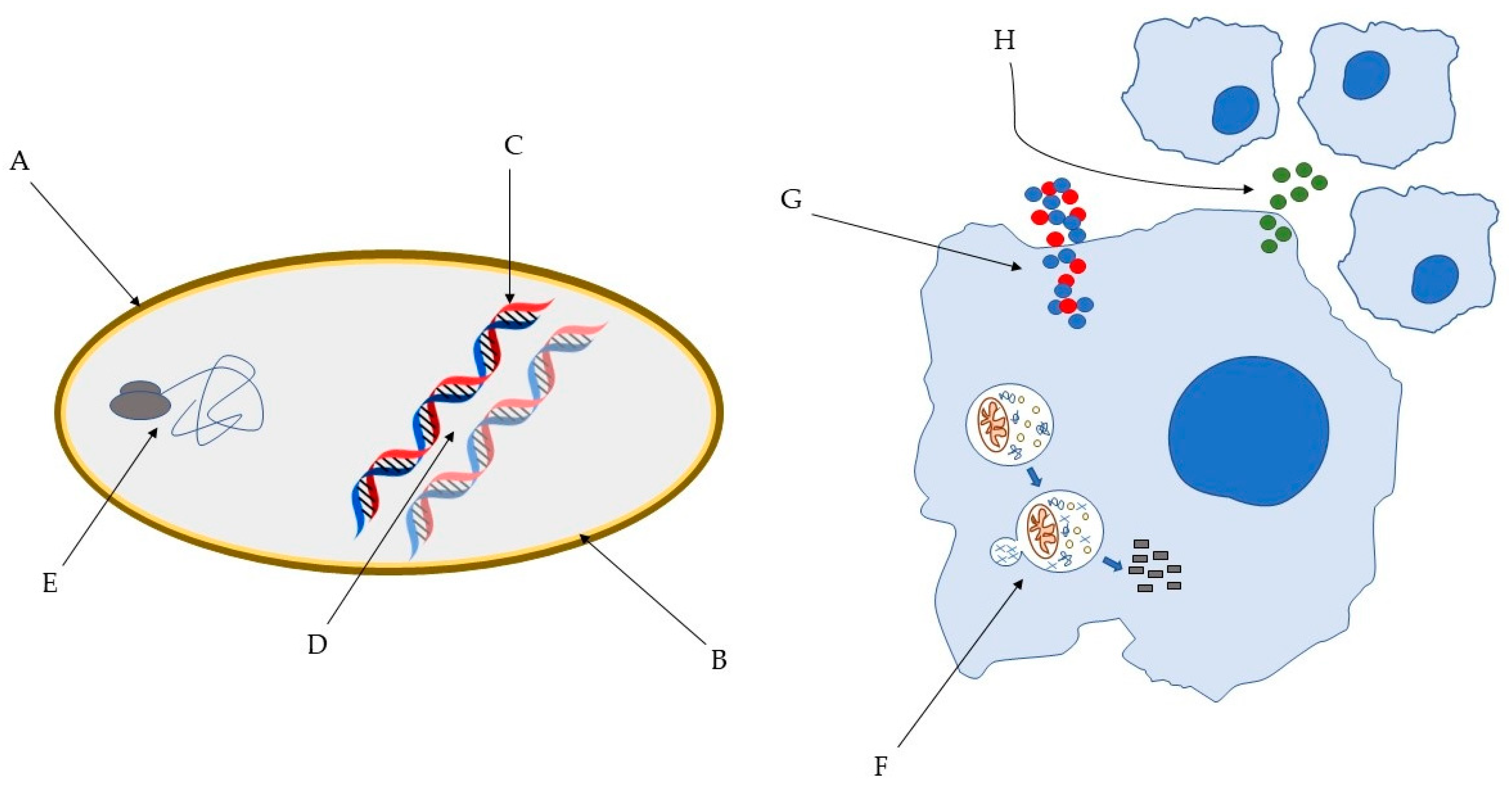 Pharmaceuticals 14 00323 g001 Pharmaceuticals 14 00323 g001