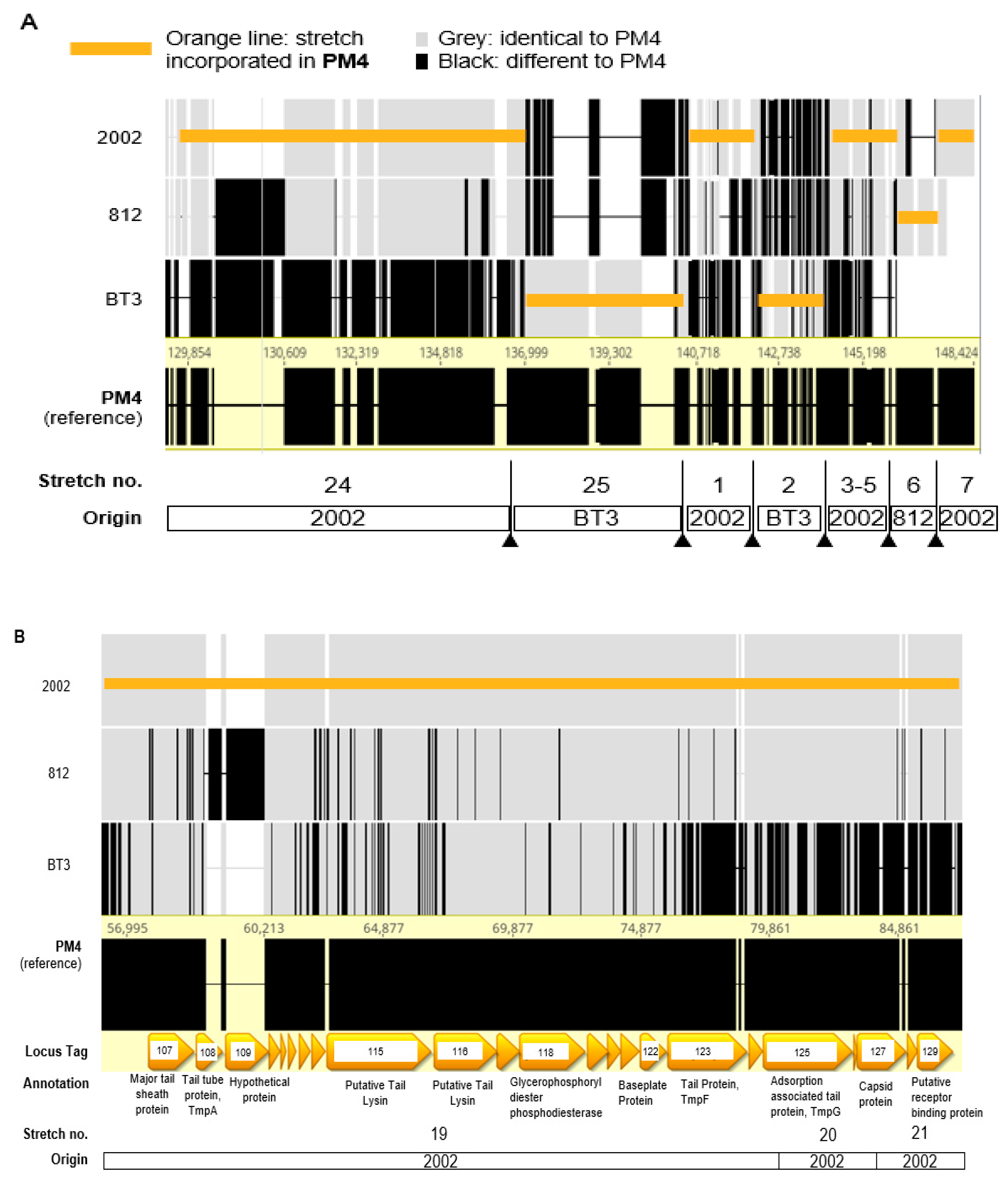 Pharmaceuticals 14 00325 g005a