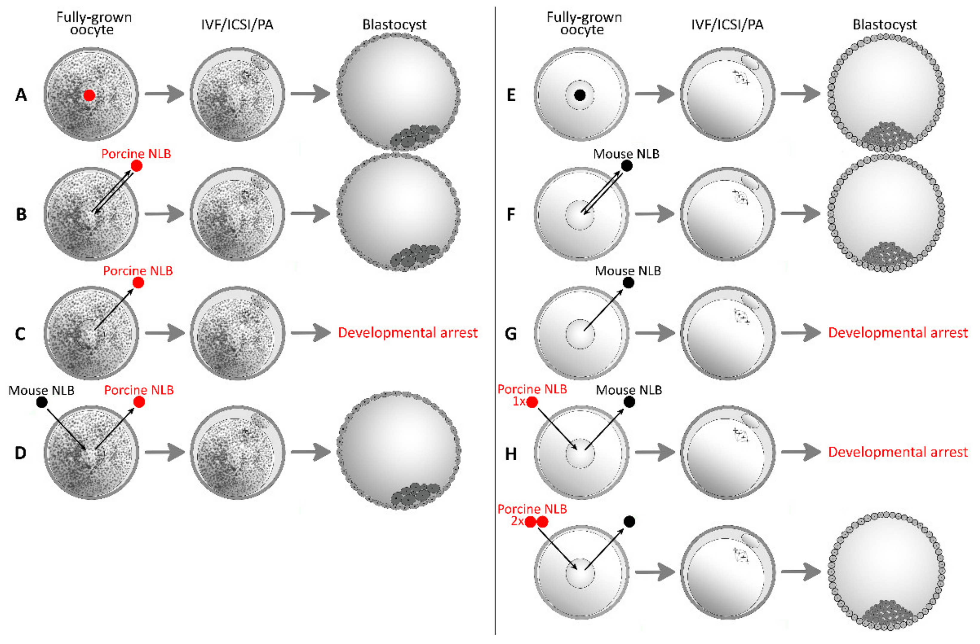 Pharmaceuticals 14 00328 g001