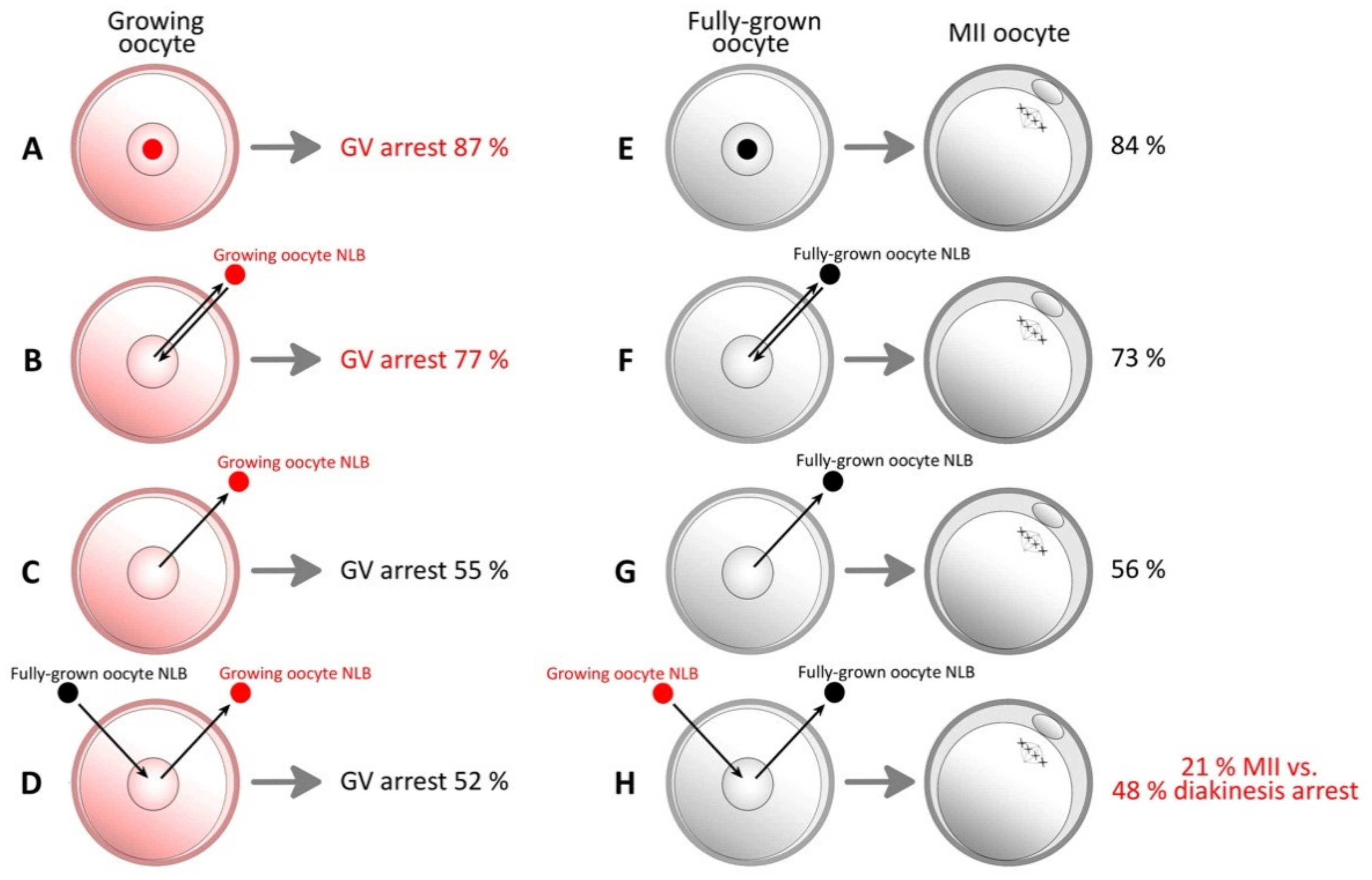 Pharmaceuticals 14 00328 g002