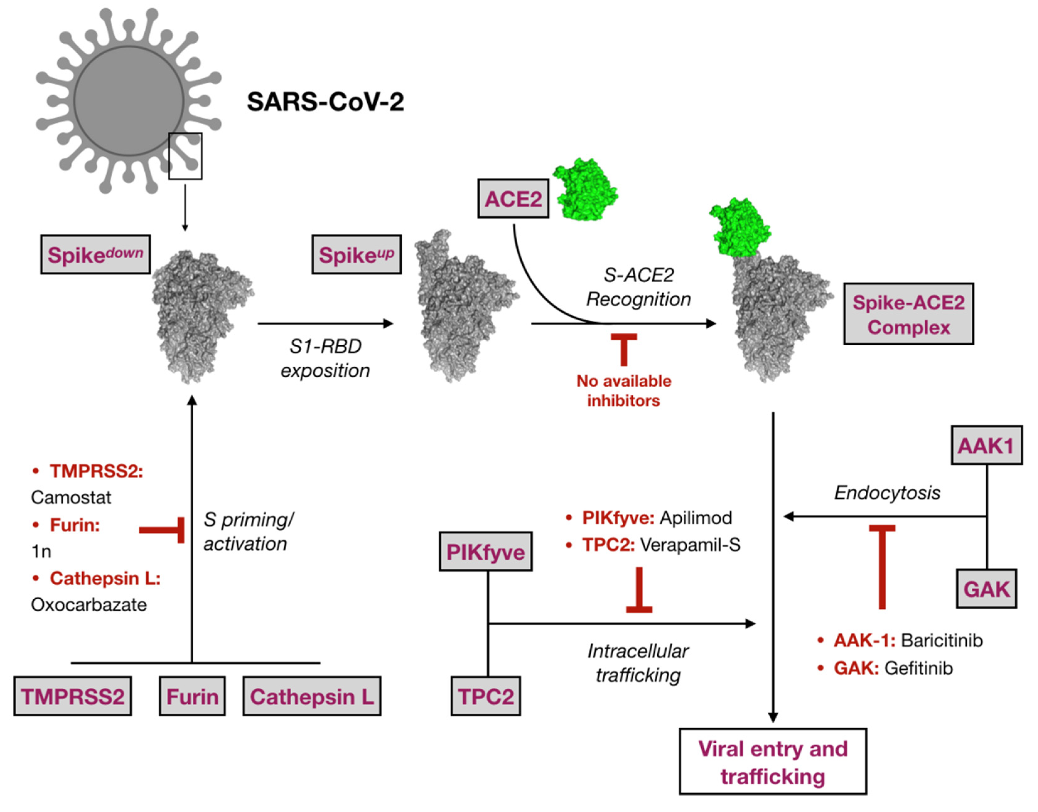 Pharmaceuticals 14 00332 g001