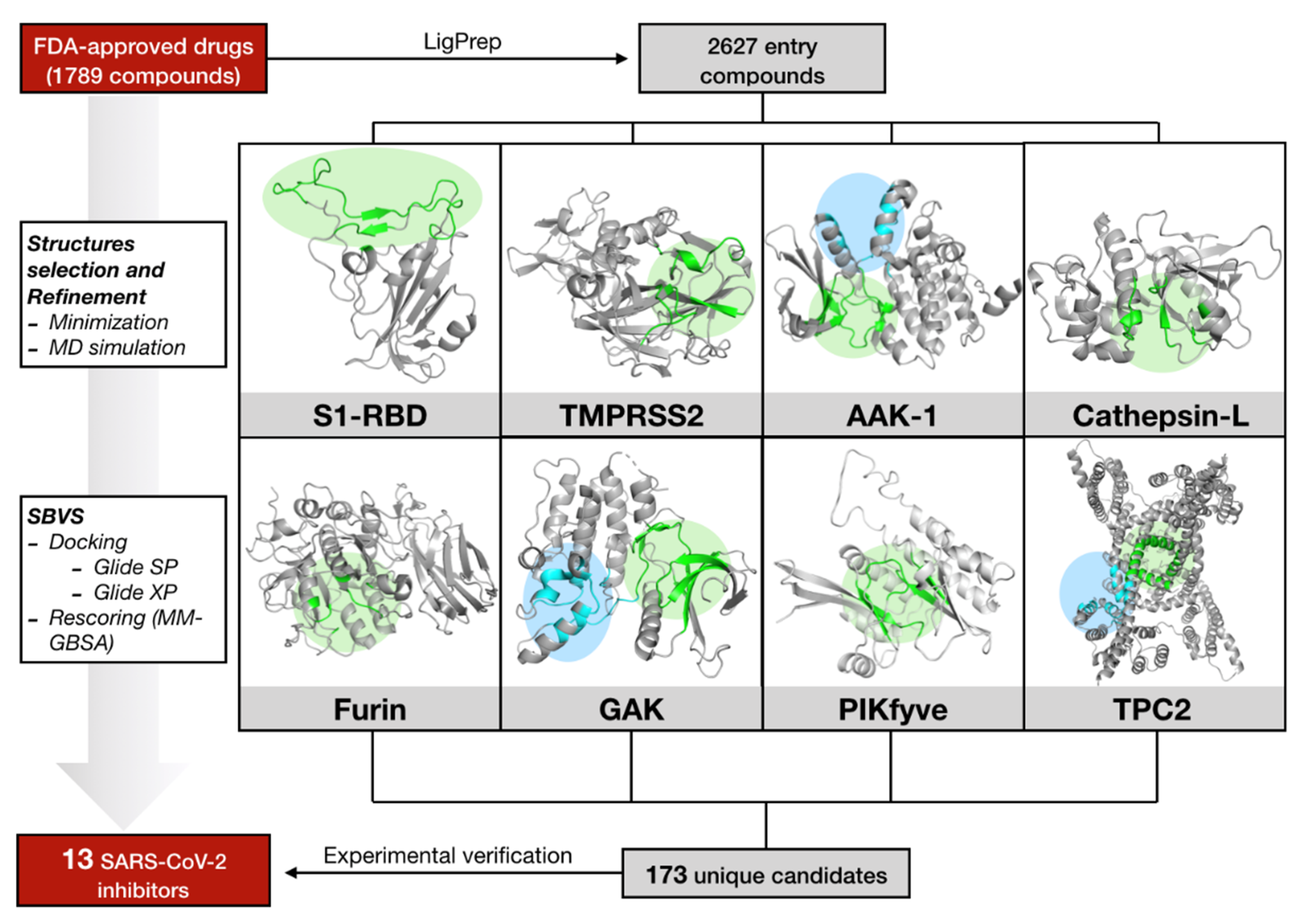 Pharmaceuticals 14 00332 g002