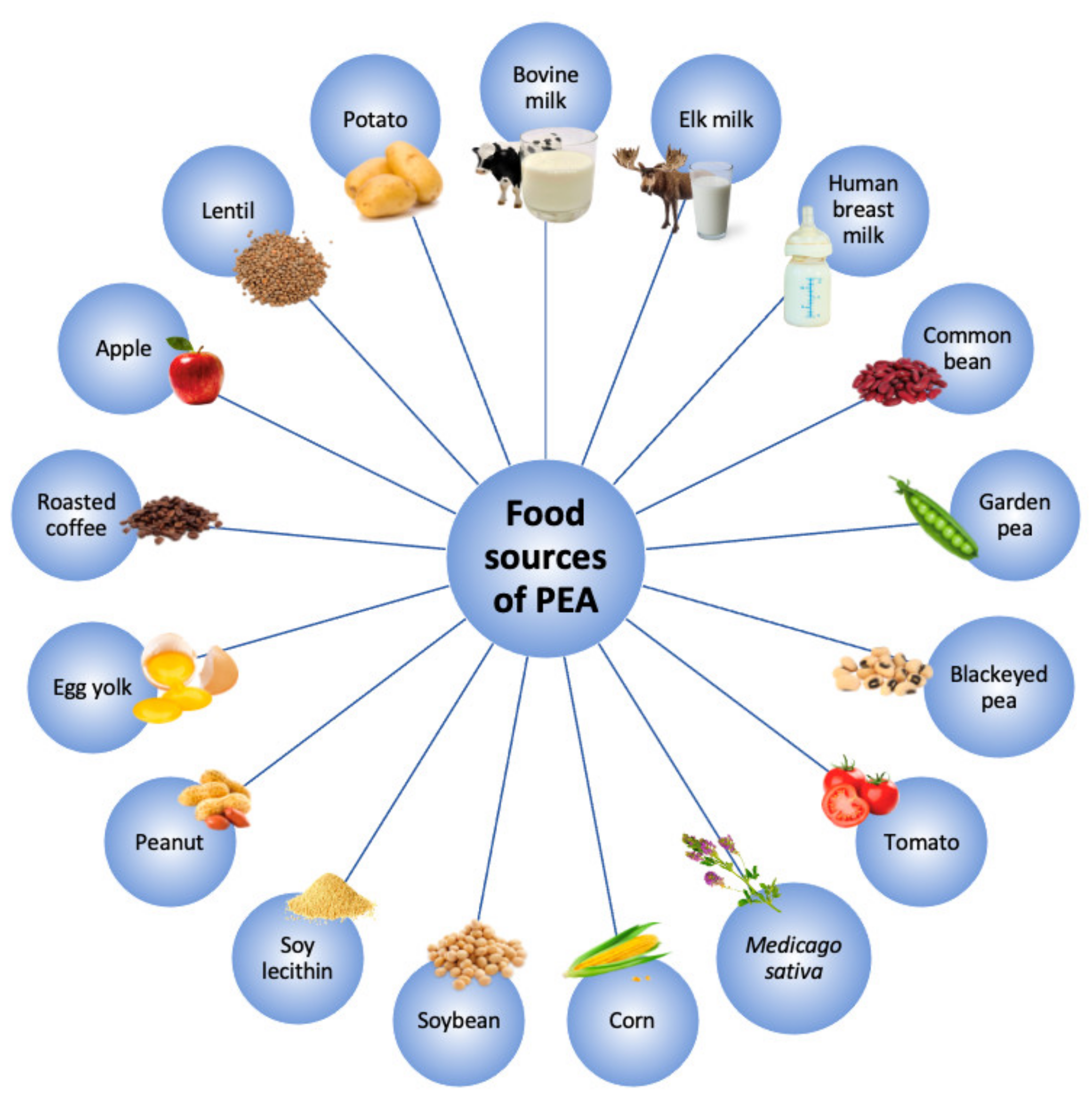 Pharmaceuticals 14 00336 g001