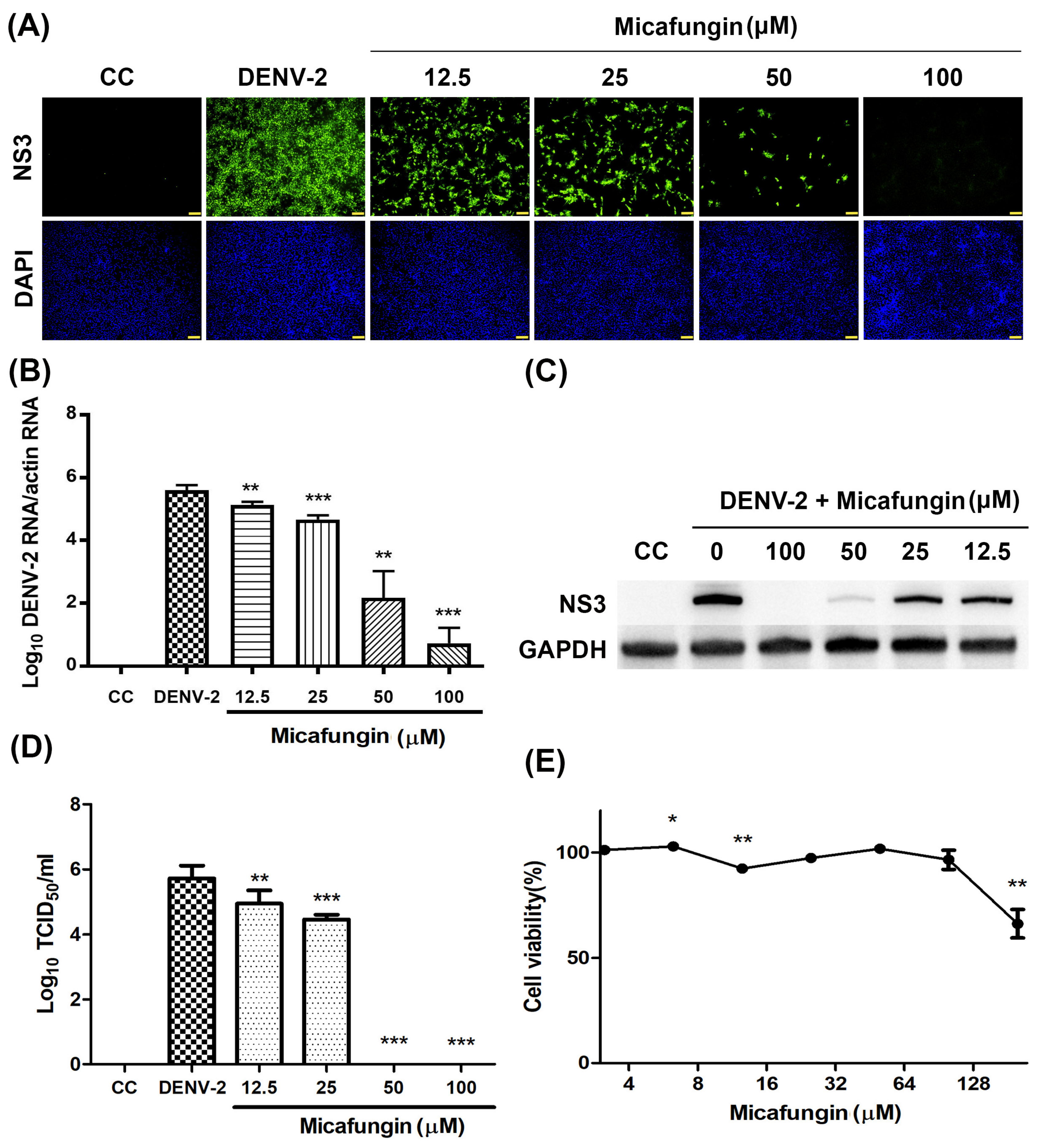 Pharmaceuticals 14 00338 g001
