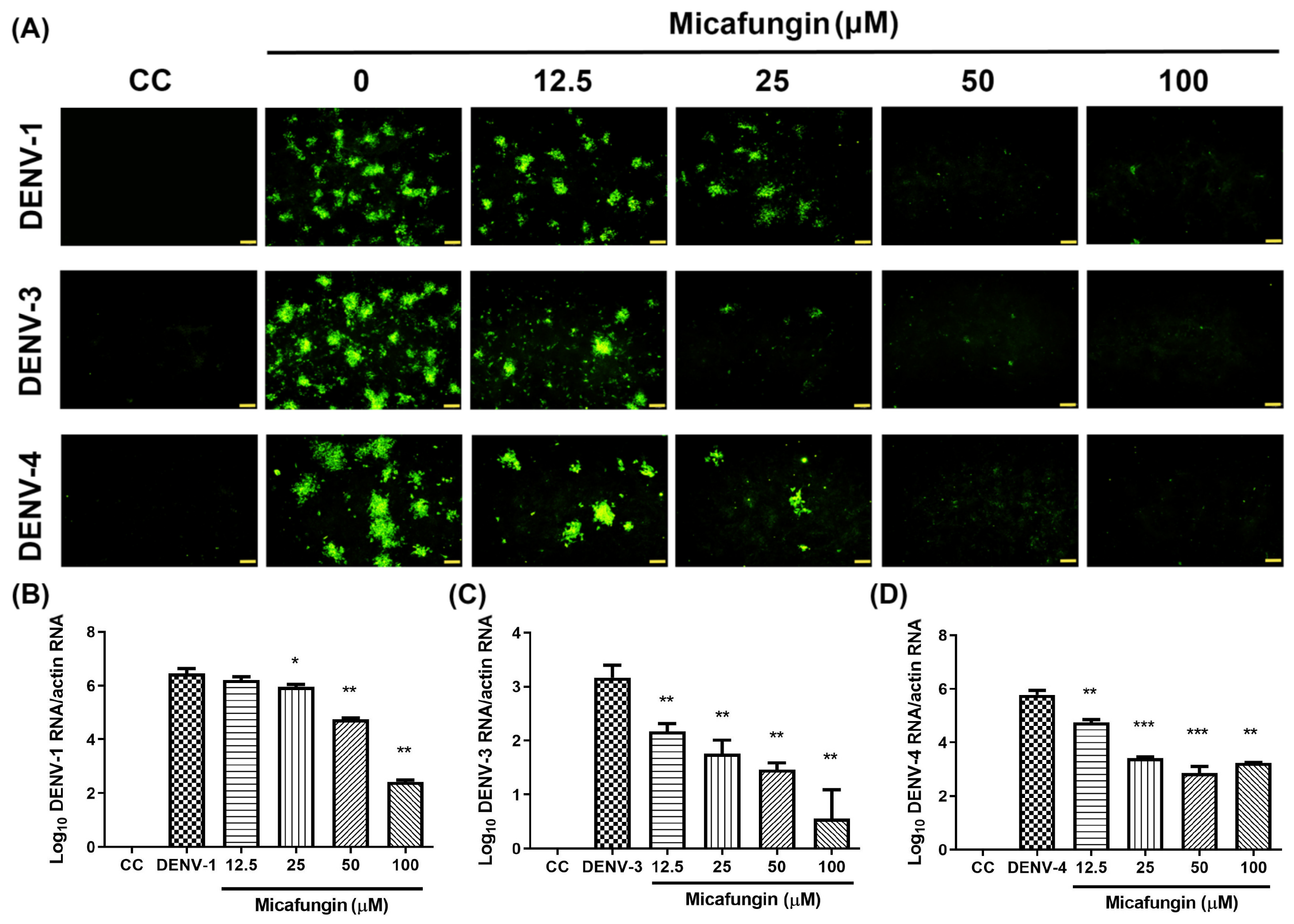 Pharmaceuticals 14 00338 g006