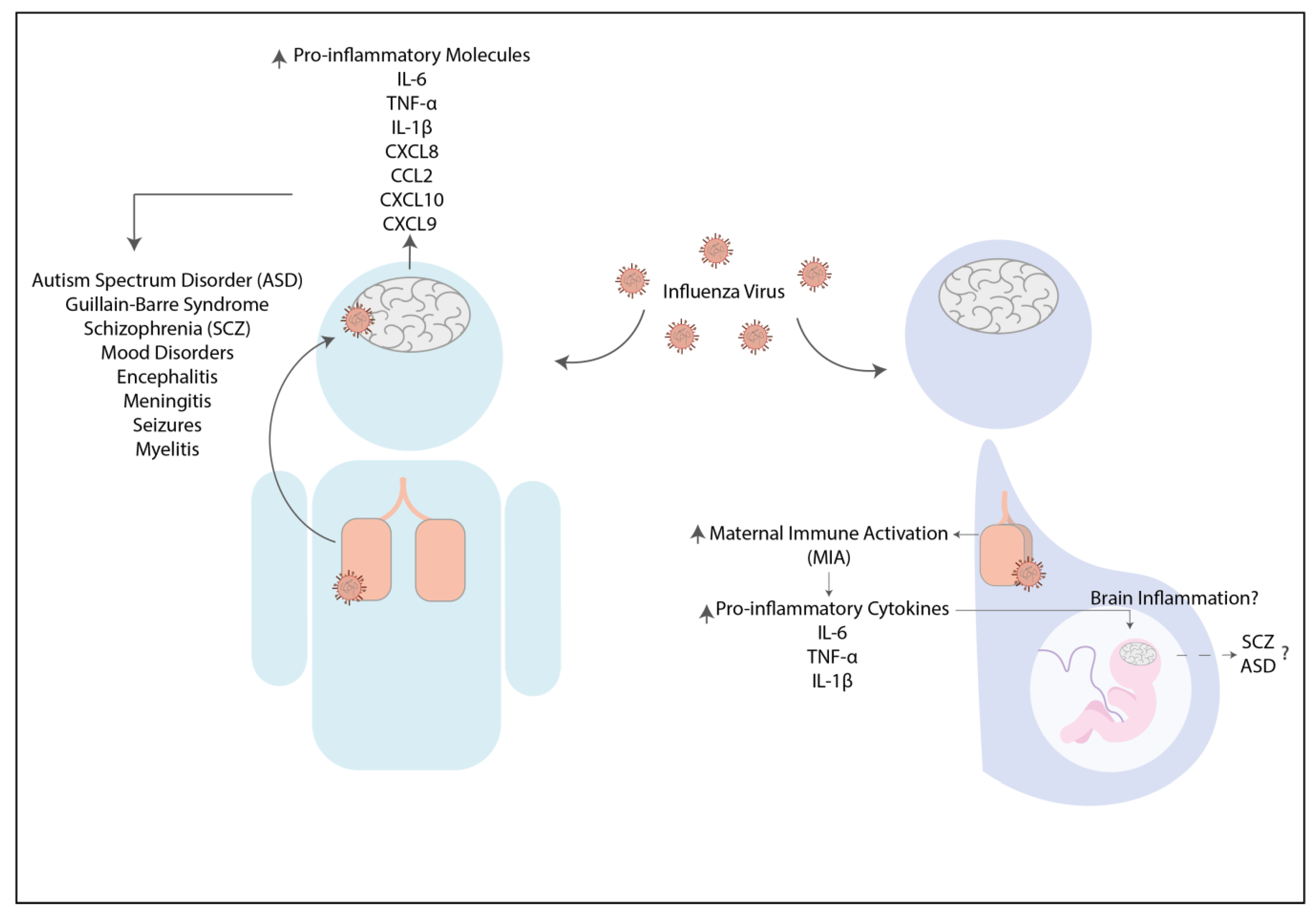Pharmaceuticals 14 00340 g001 Pharmaceuticals 14 00340 g001