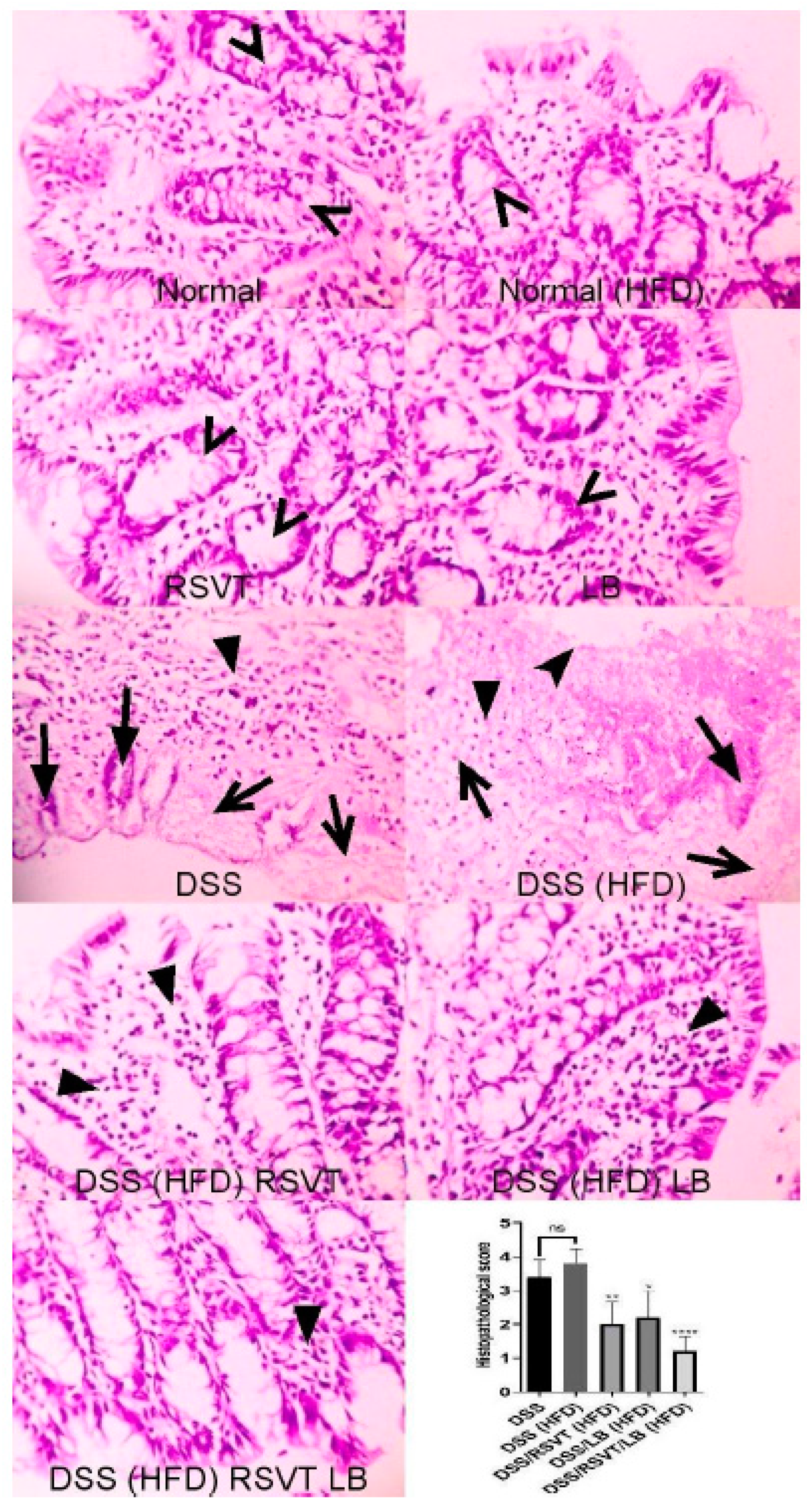 Pharmaceuticals 14 00341 g002