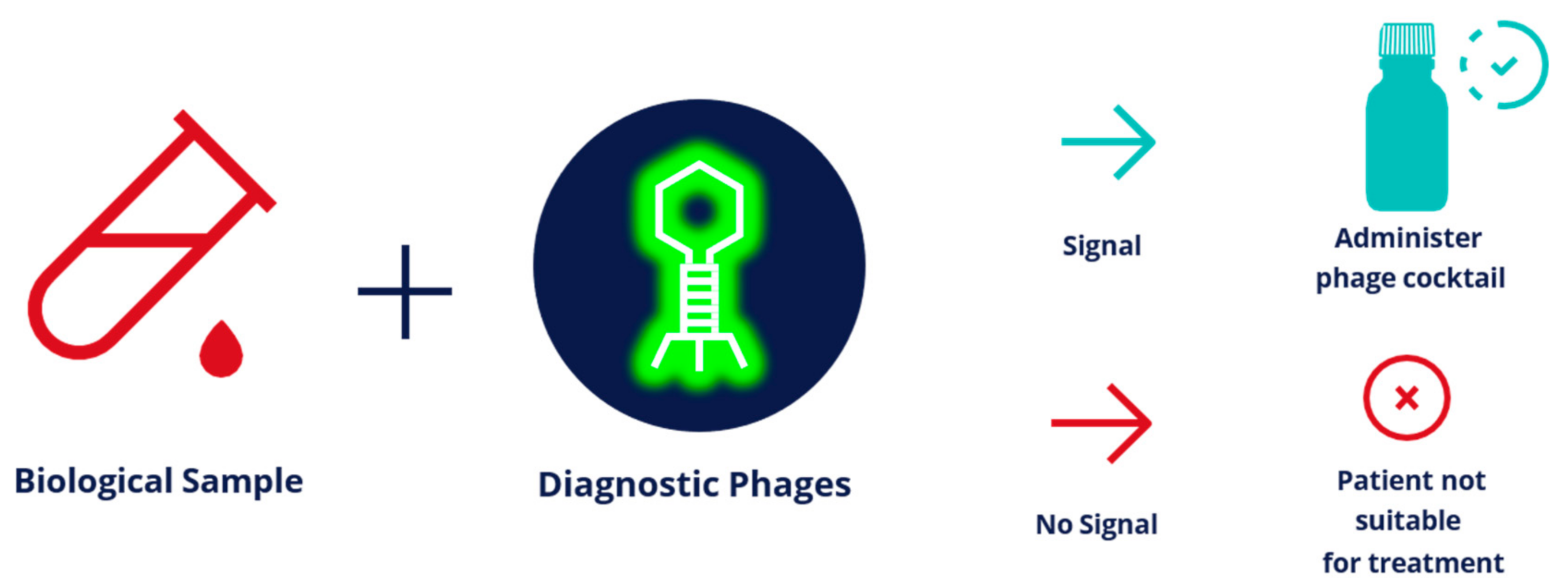 Pharmaceuticals 14 00347 g001 Pharmaceuticals 14 00347 g001