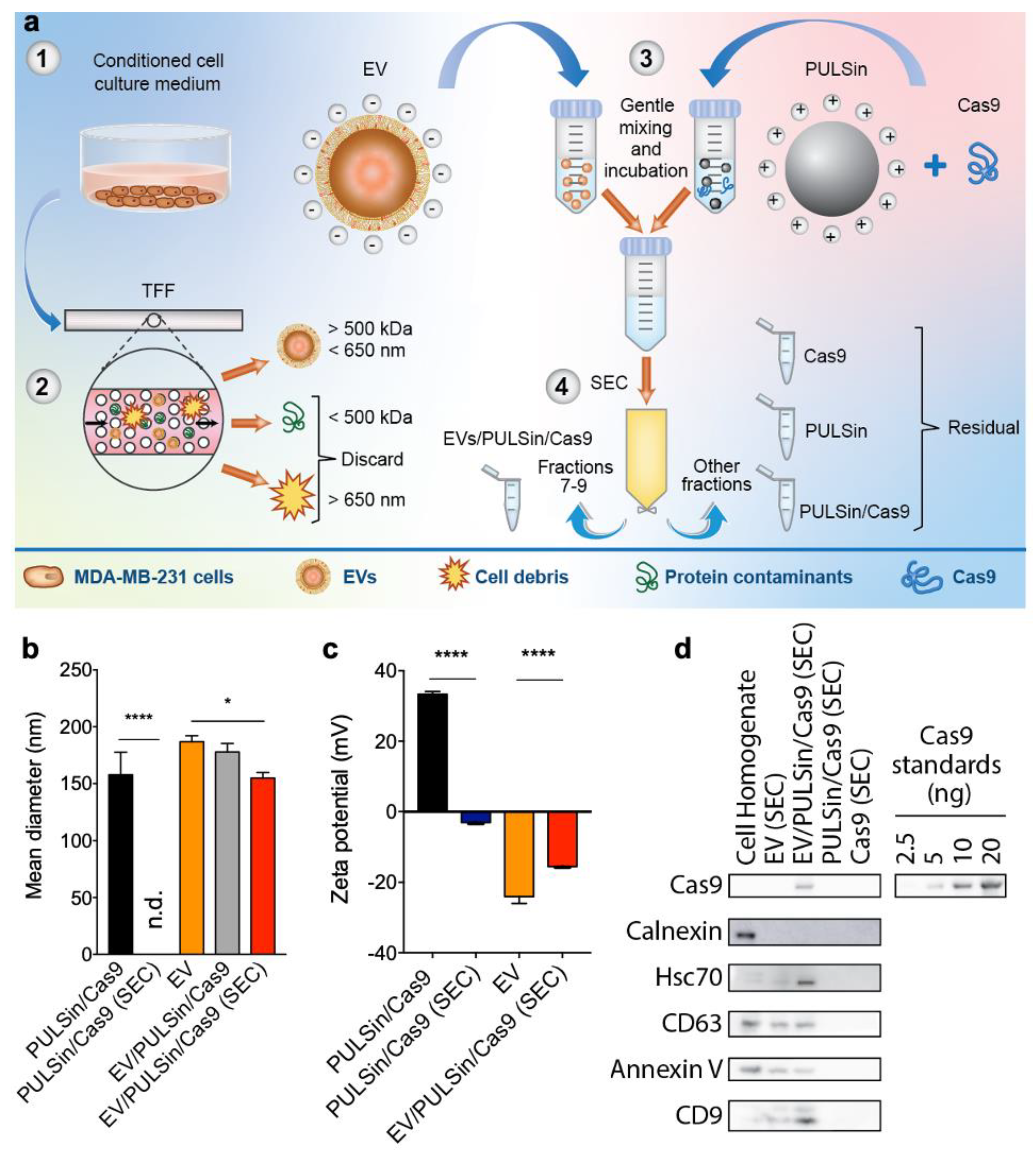 Pharmaceuticals 14 00356 g001 Pharmaceuticals 14 00356 g001