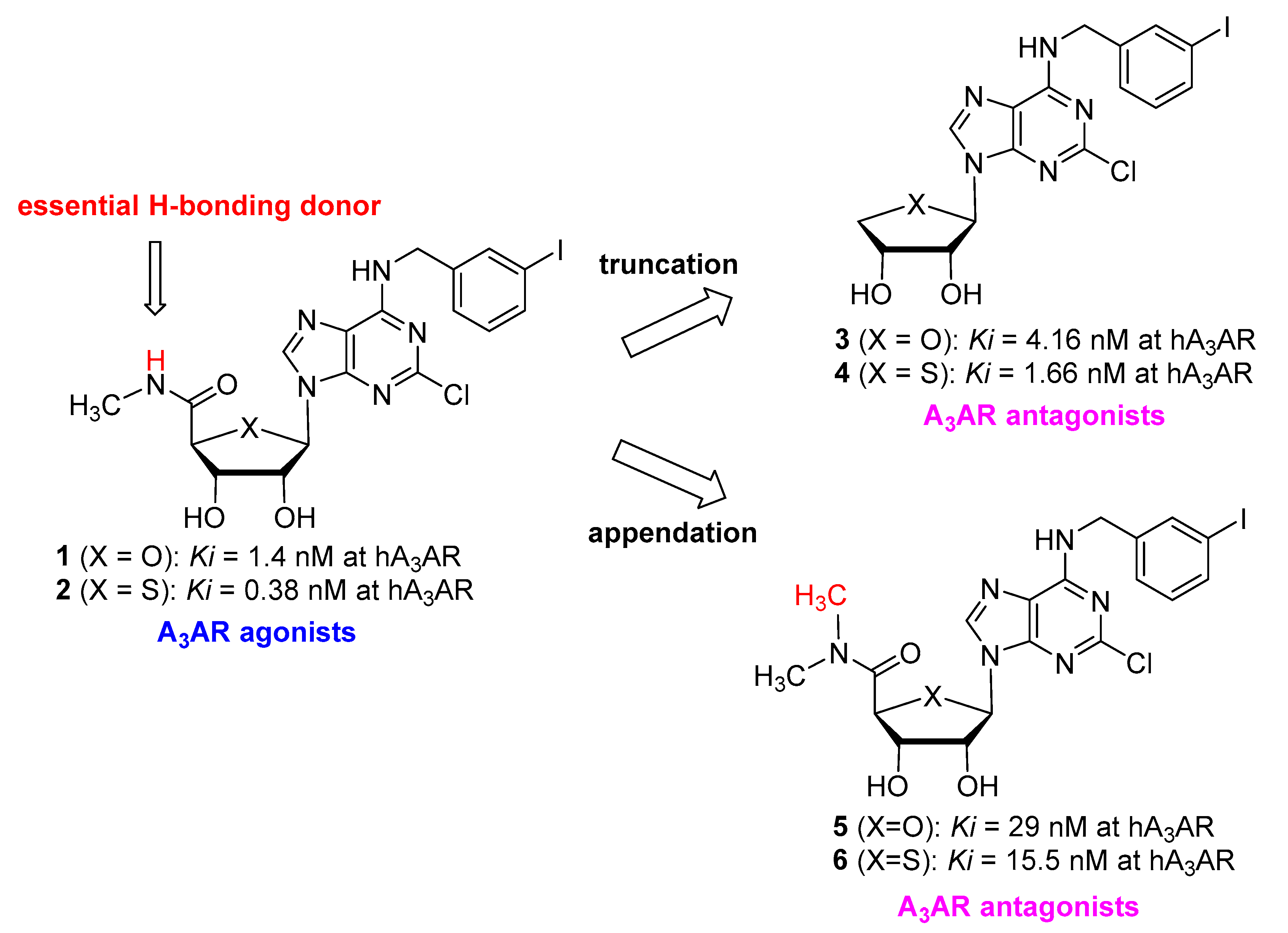 Pharmaceuticals 14 00363 g001