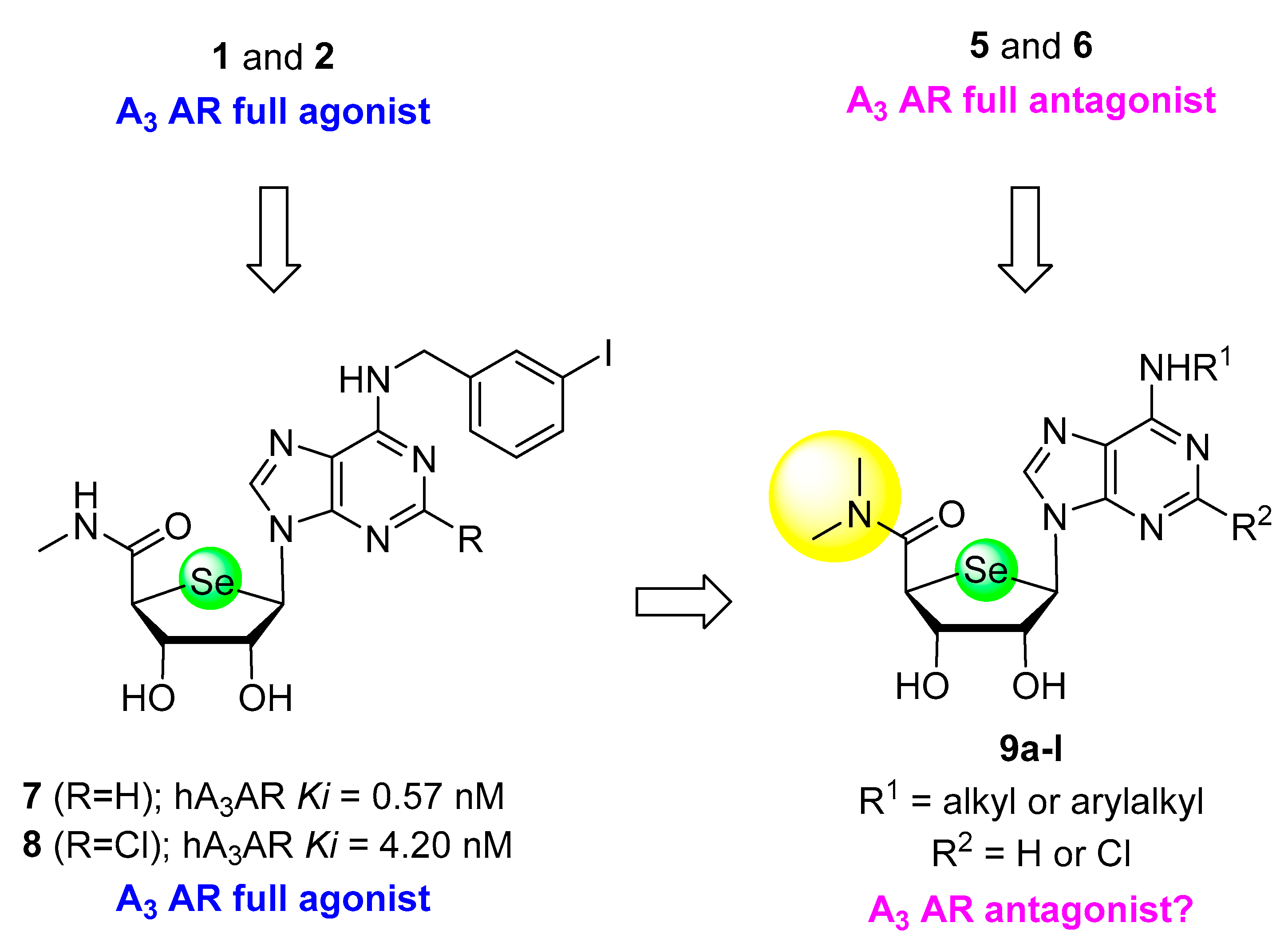 Pharmaceuticals 14 00363 g002