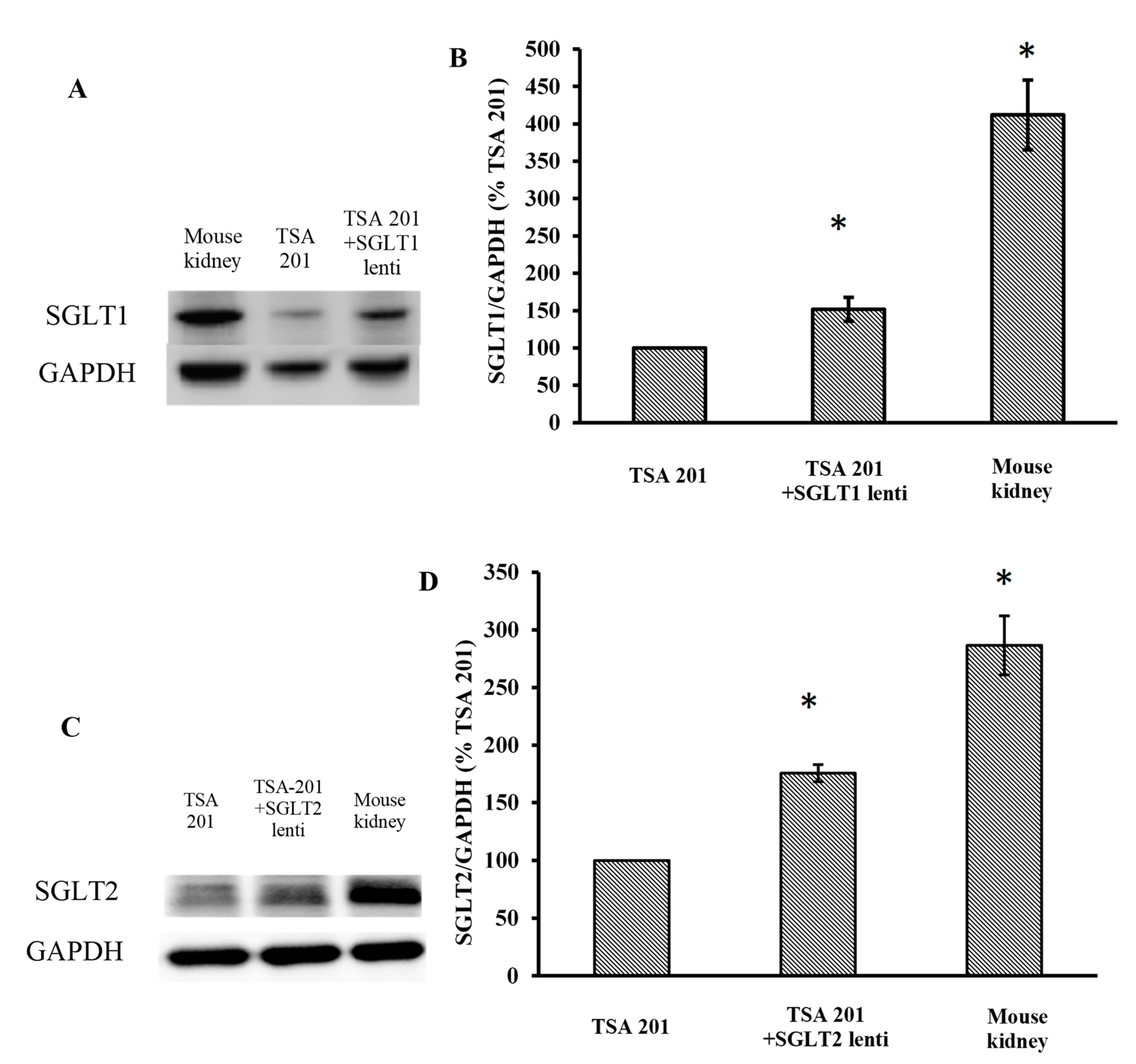 Pharmaceuticals 14 00364 g002 Pharmaceuticals 14 00364 g002