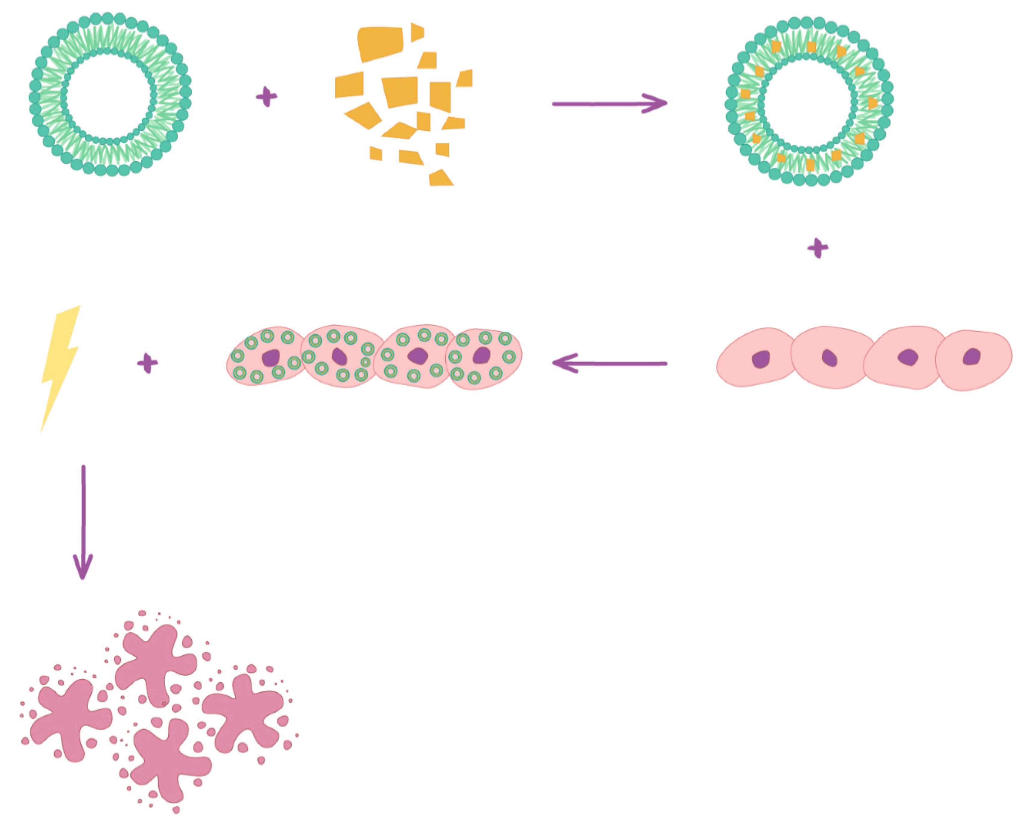 Pharmaceuticals 14 00374 g001