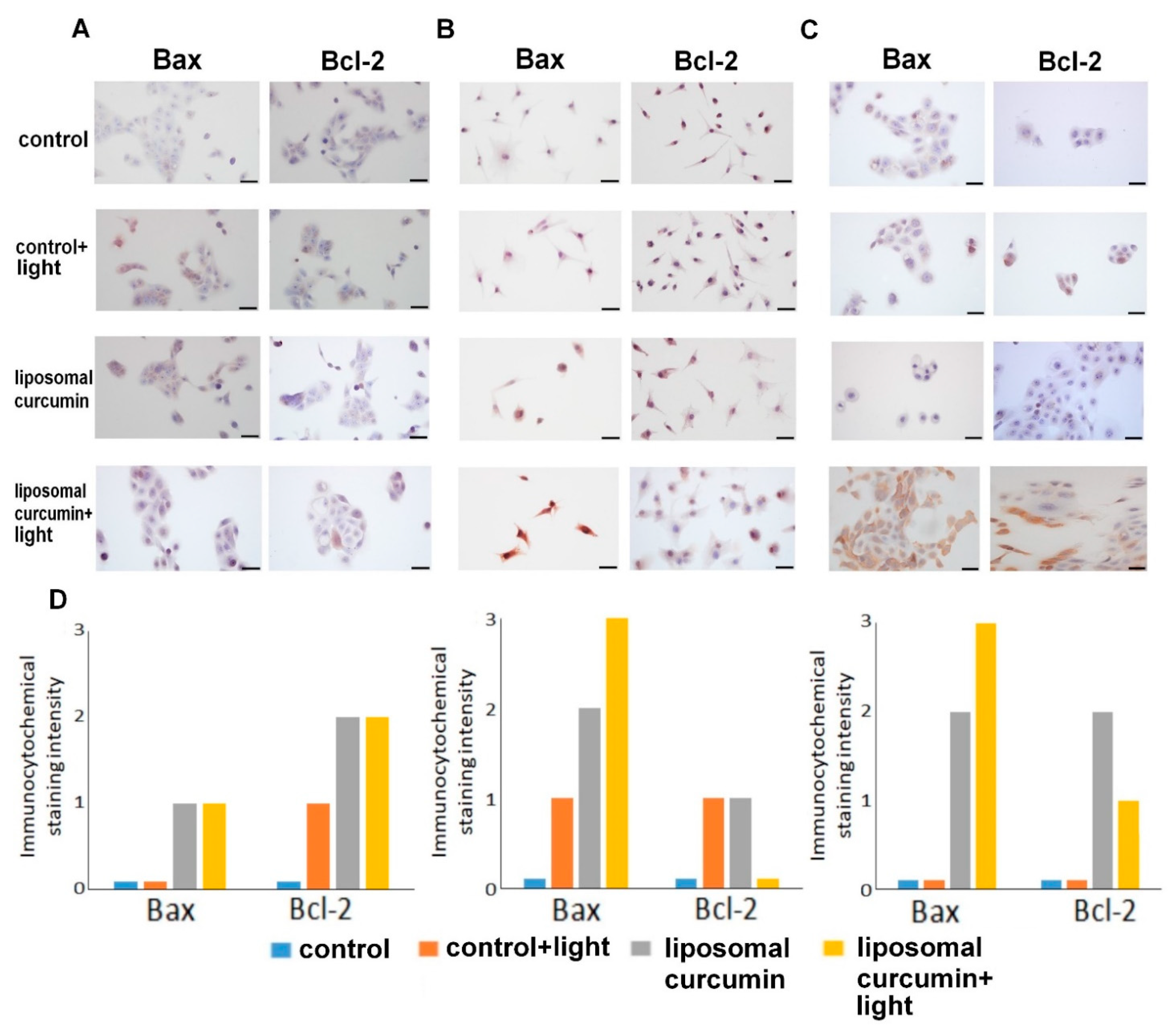 Pharmaceuticals 14 00374 g004