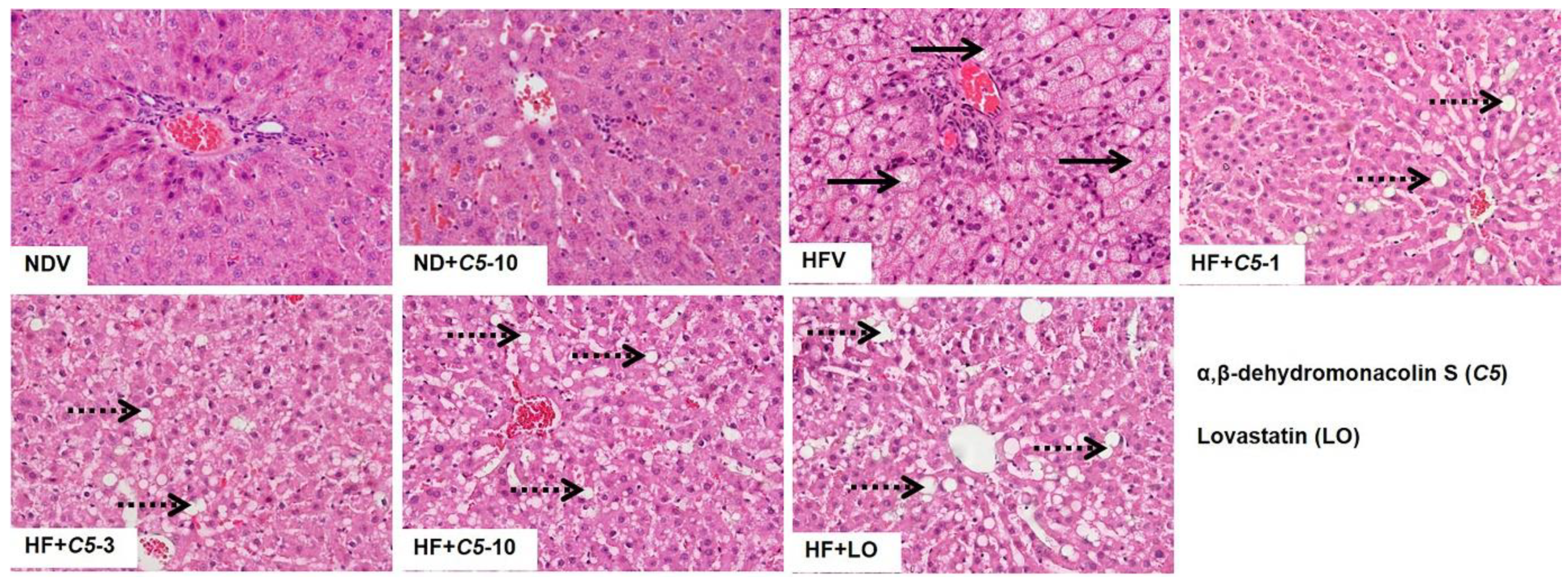 Pharmaceuticals 14 00375 g002