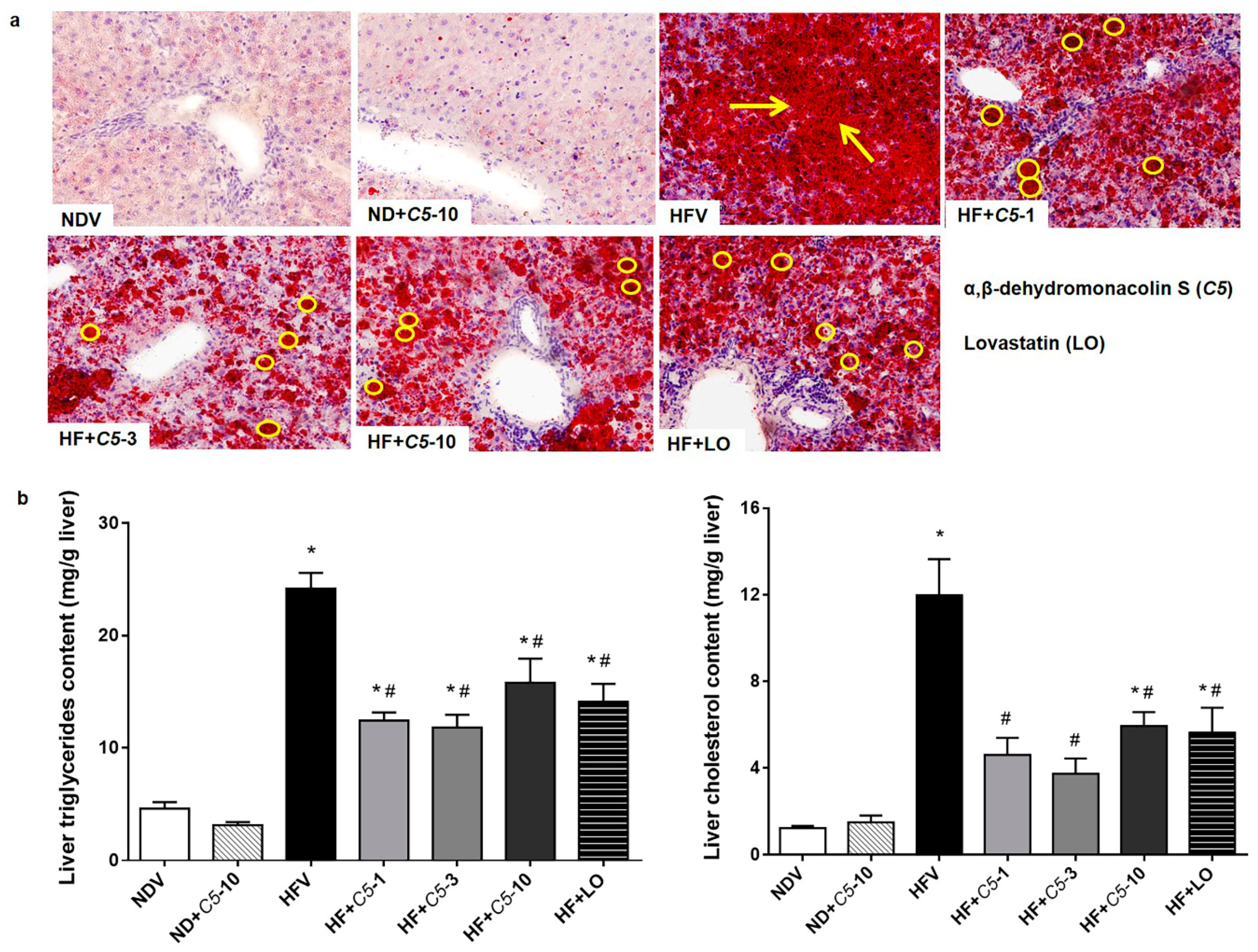 Pharmaceuticals 14 00375 g003