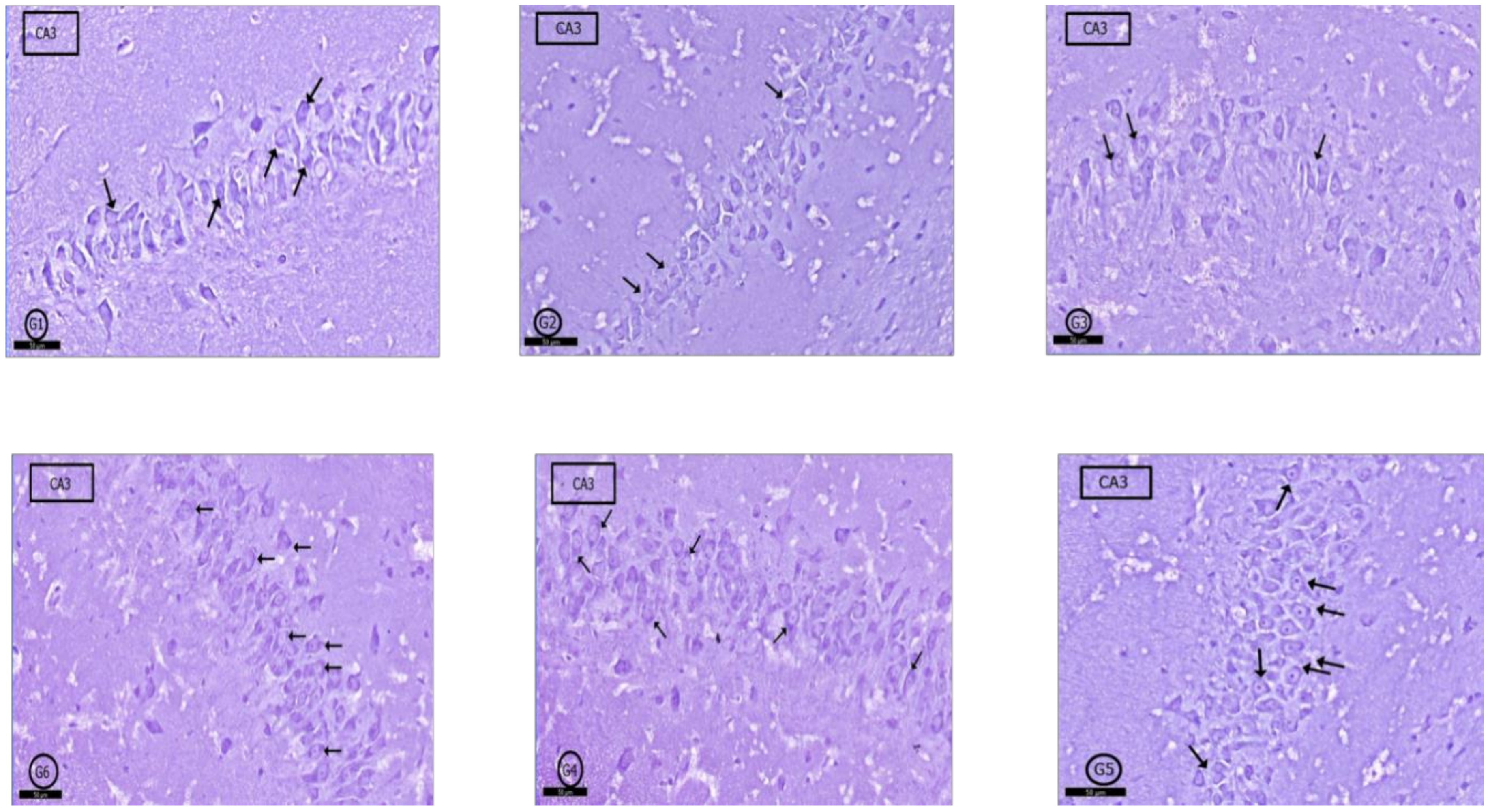 Pharmaceuticals 14 00380 g007