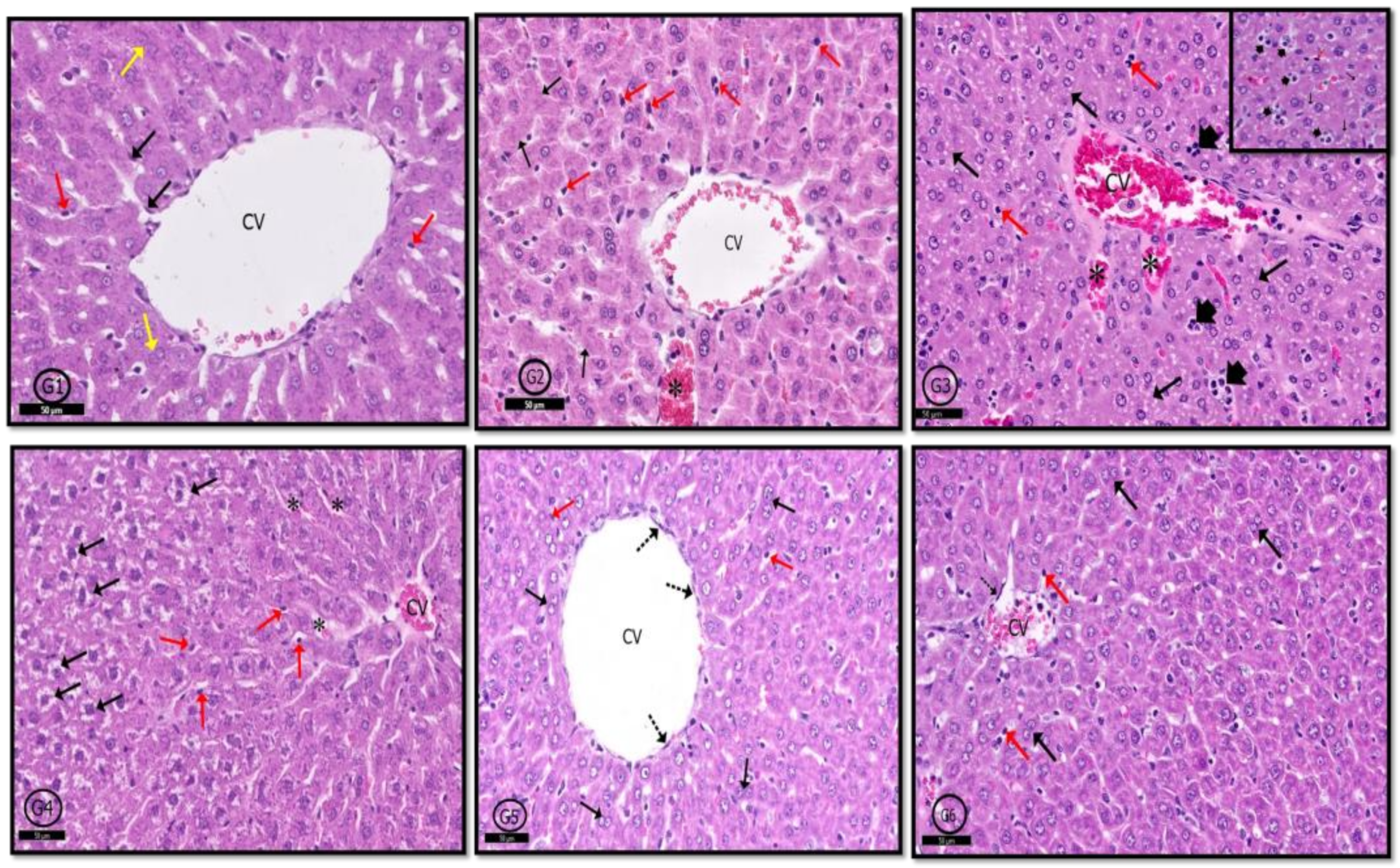 Pharmaceuticals 14 00380 g008