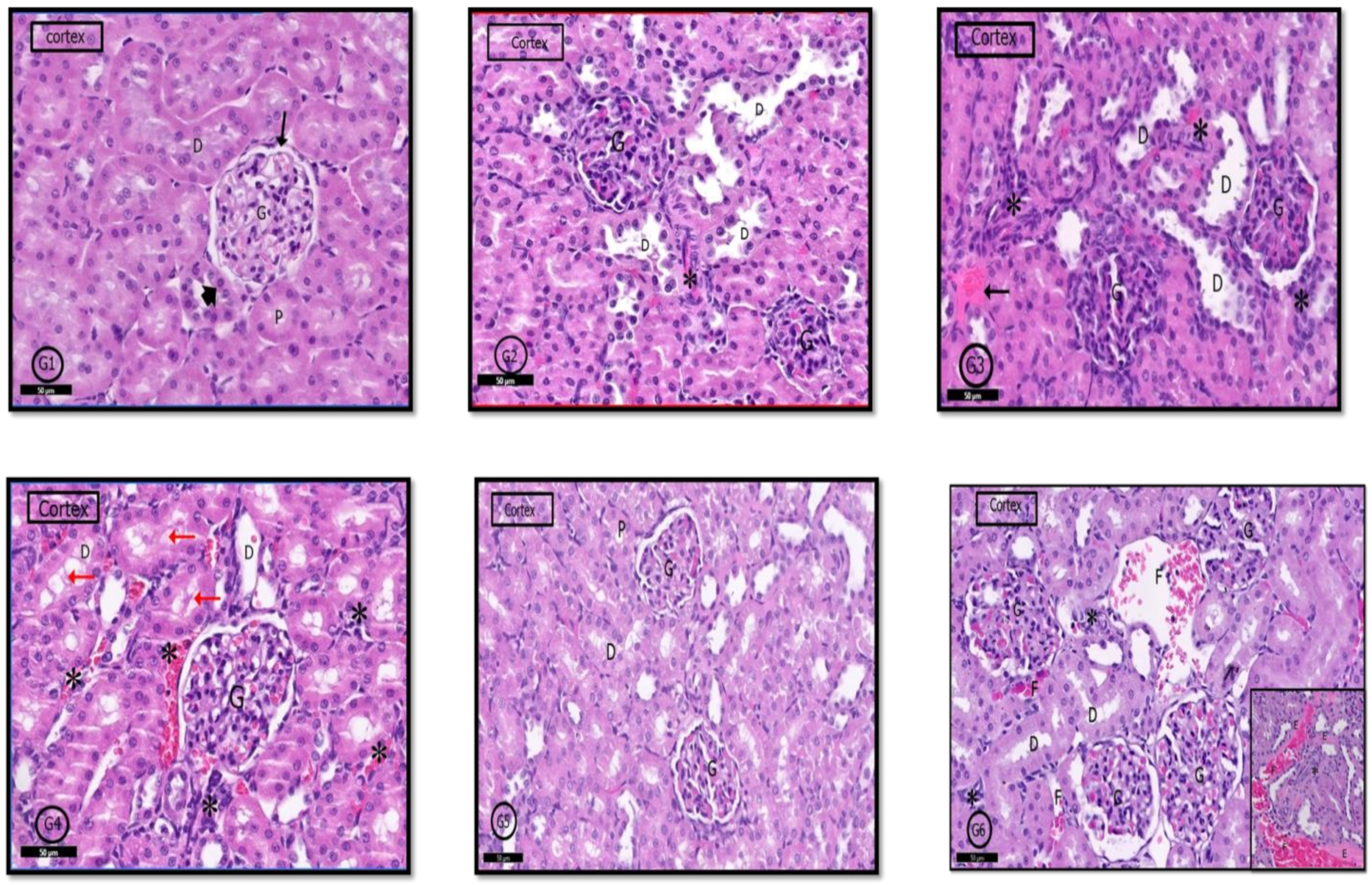Pharmaceuticals 14 00380 g009