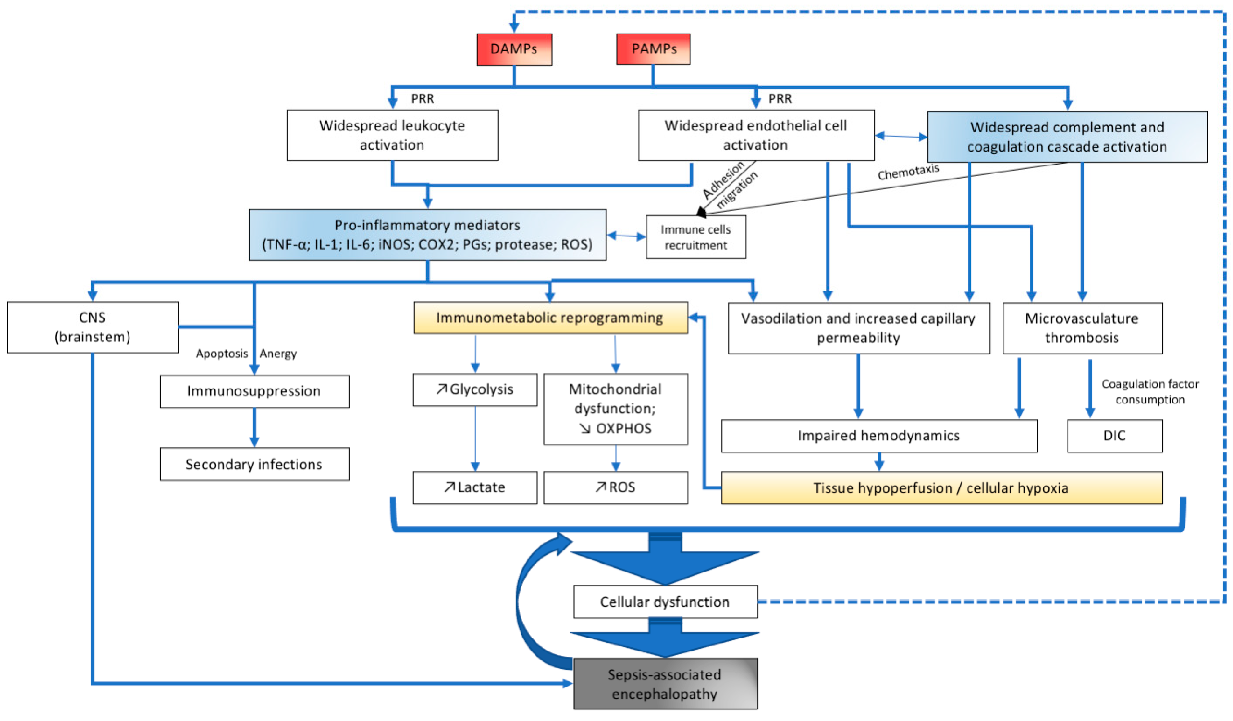 Pharmaceuticals 14 00416 g001
