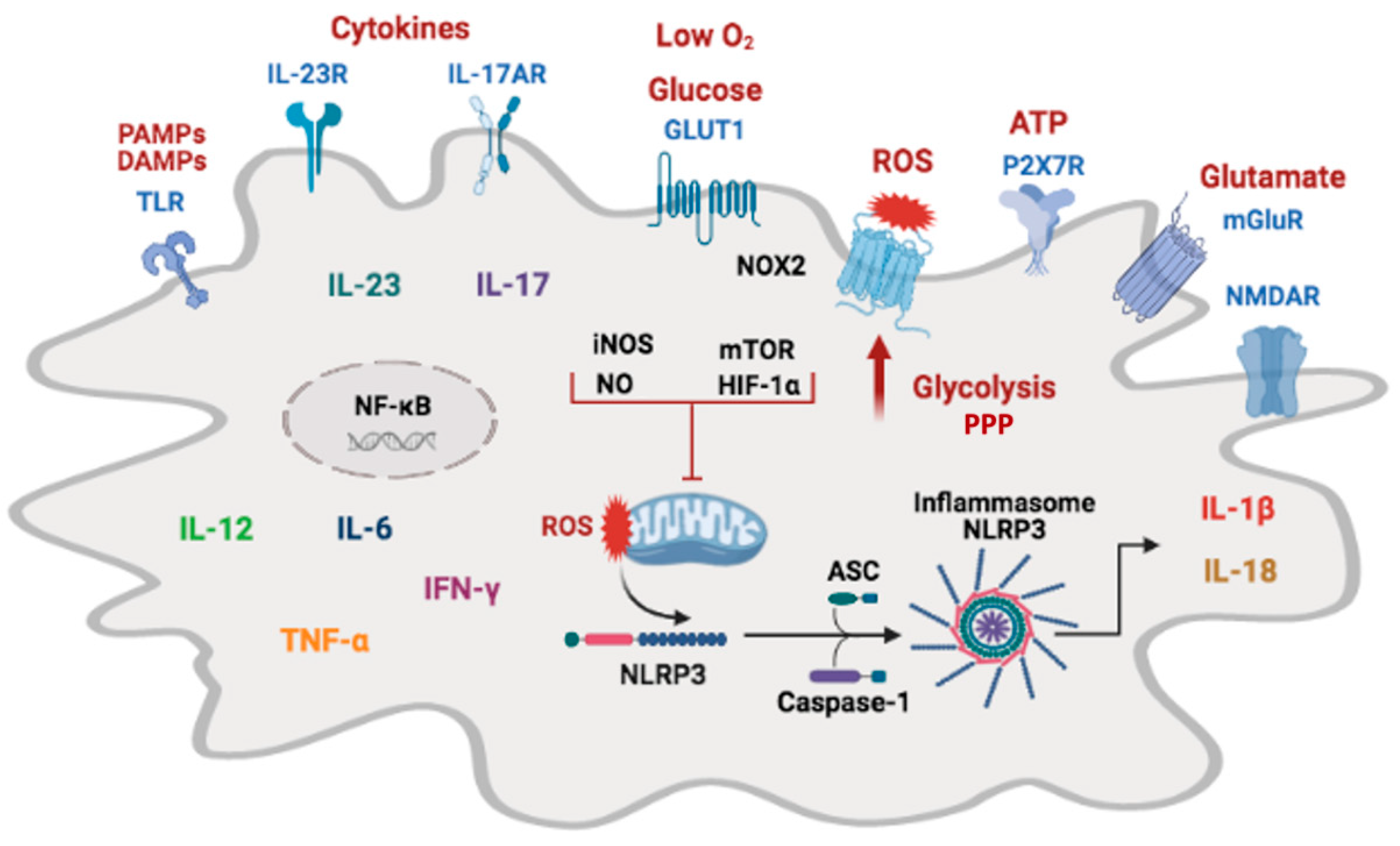 Pharmaceuticals 14 00416 g002