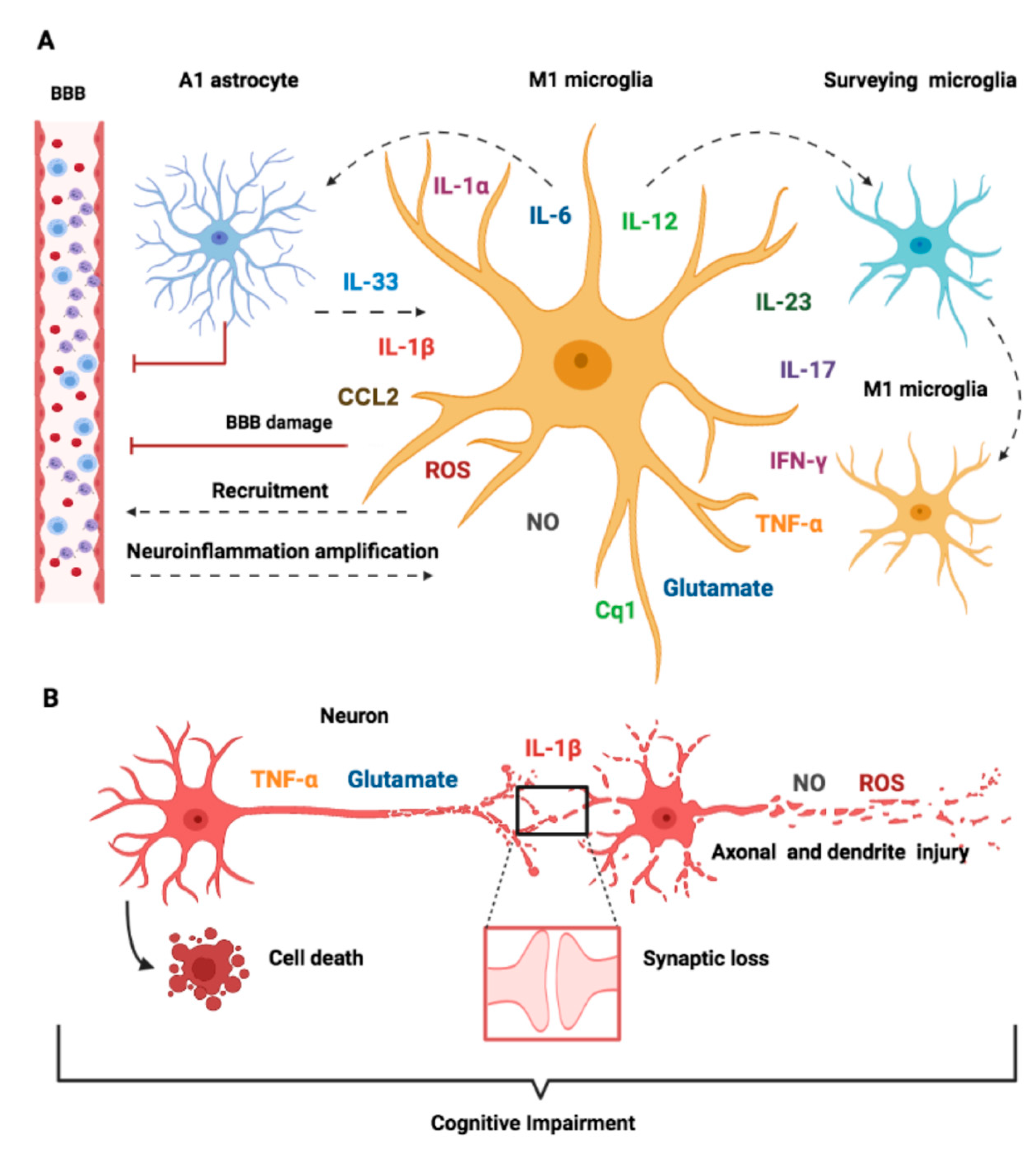 Pharmaceuticals 14 00416 g003