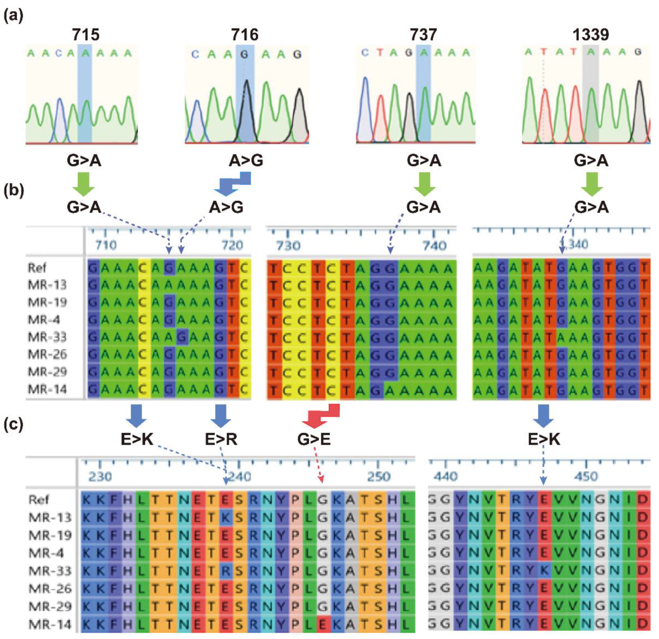Pharmaceuticals 14 00420 g001