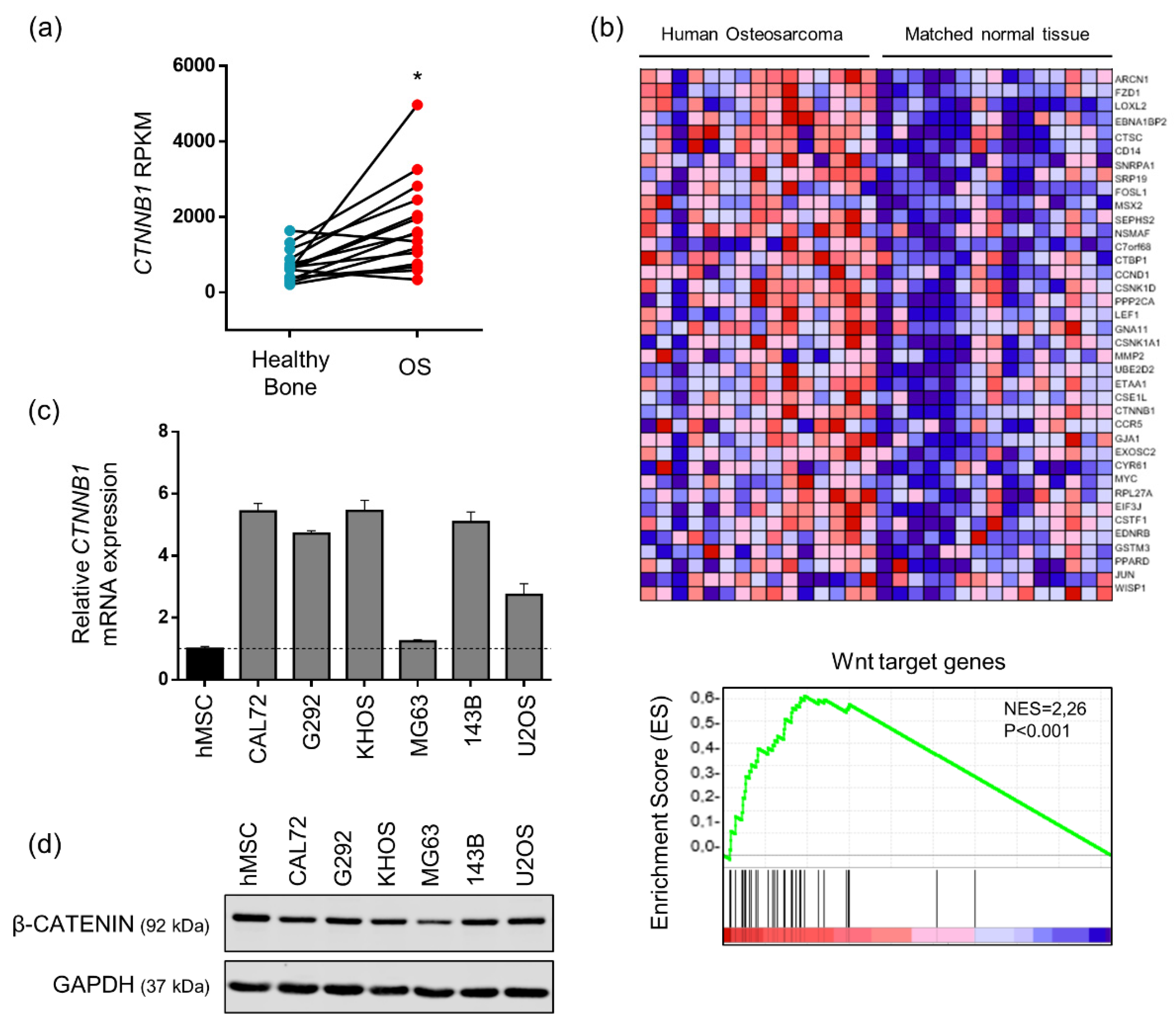 Pharmaceuticals 14 00421 g001 Pharmaceuticals 14 00421 g001