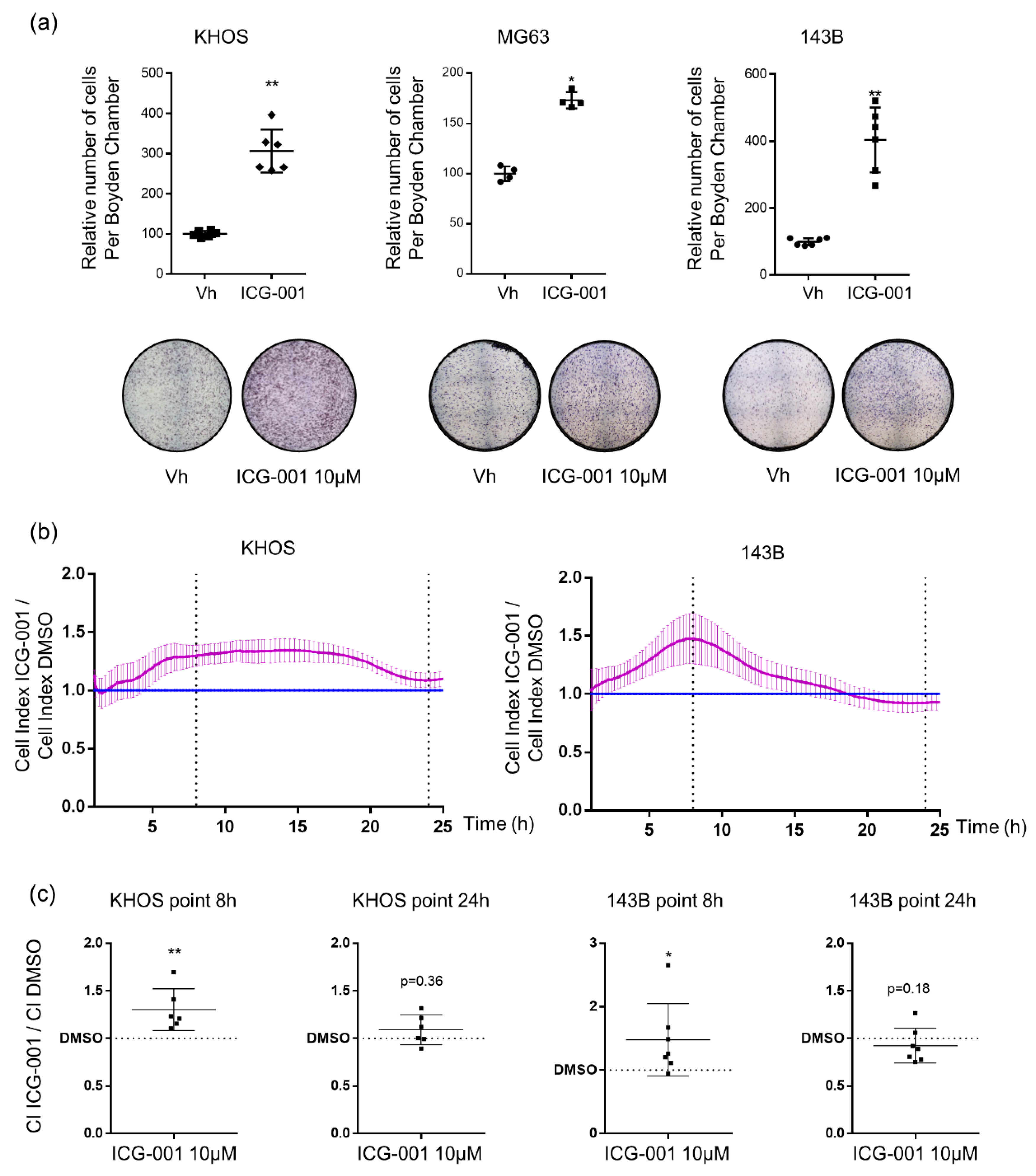 Pharmaceuticals 14 00421 g005 Pharmaceuticals 14 00421 g005
