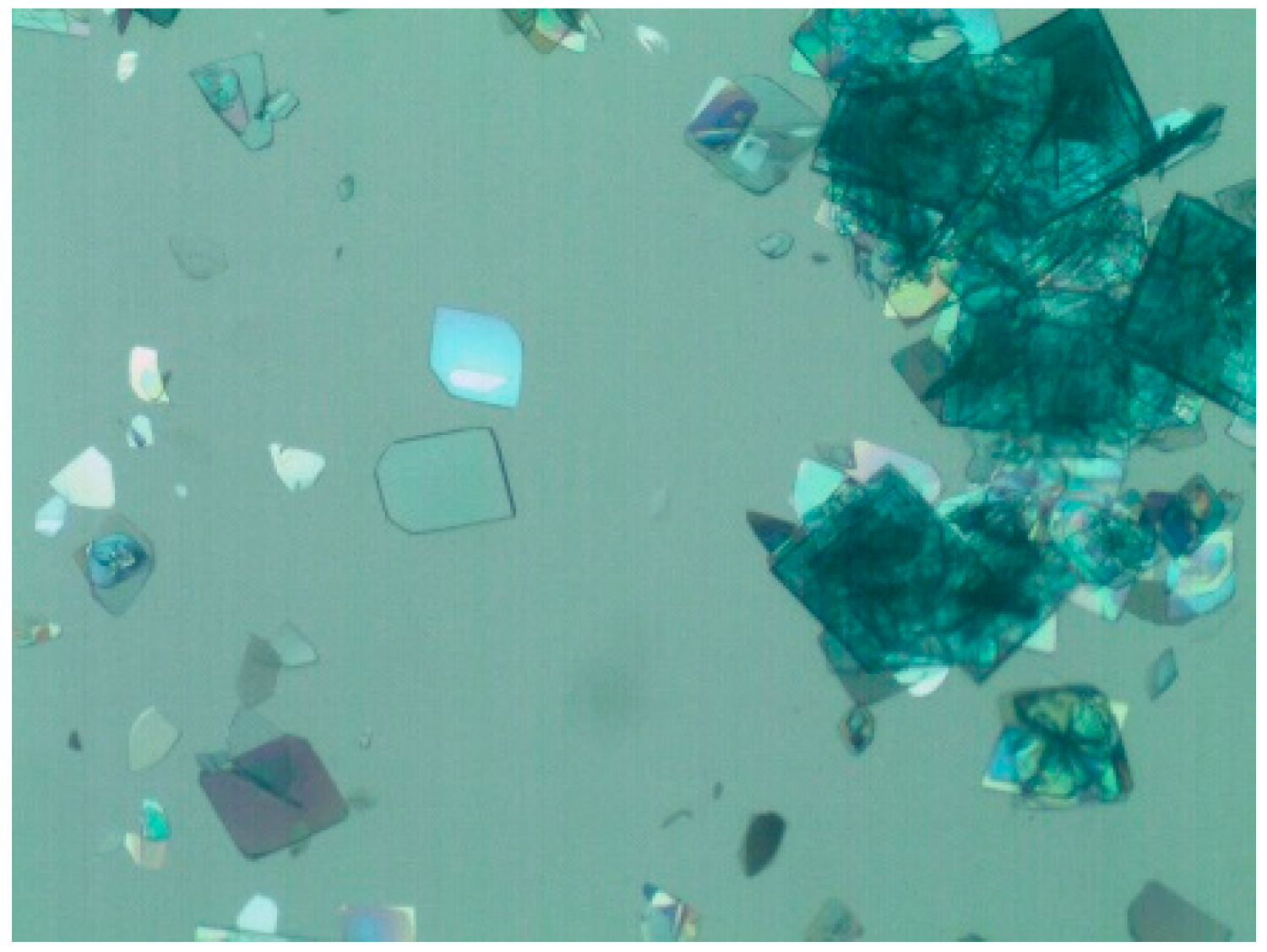 Pharmaceuticals 14 00426 g002