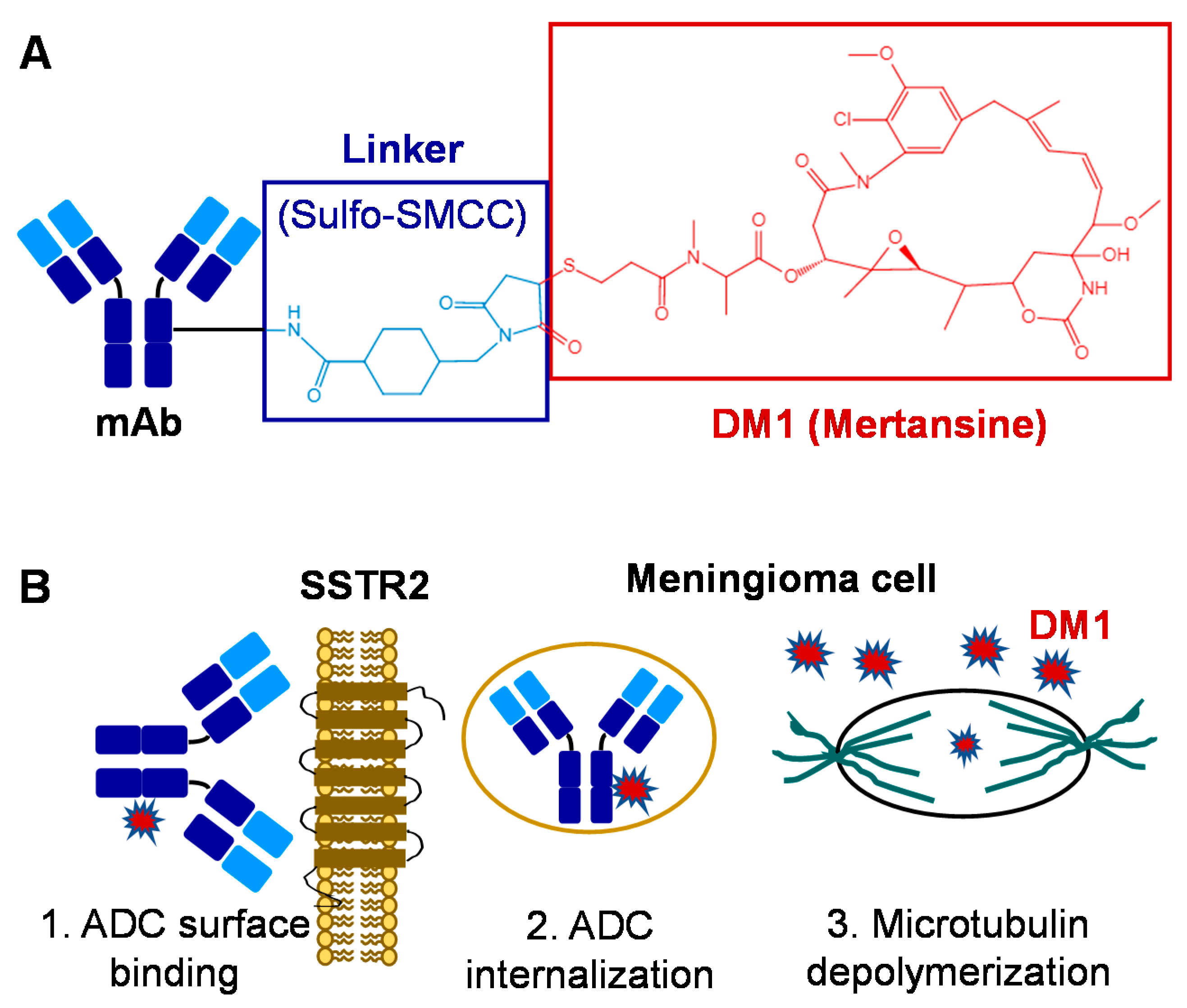 Pharmaceuticals 14 00427 g001