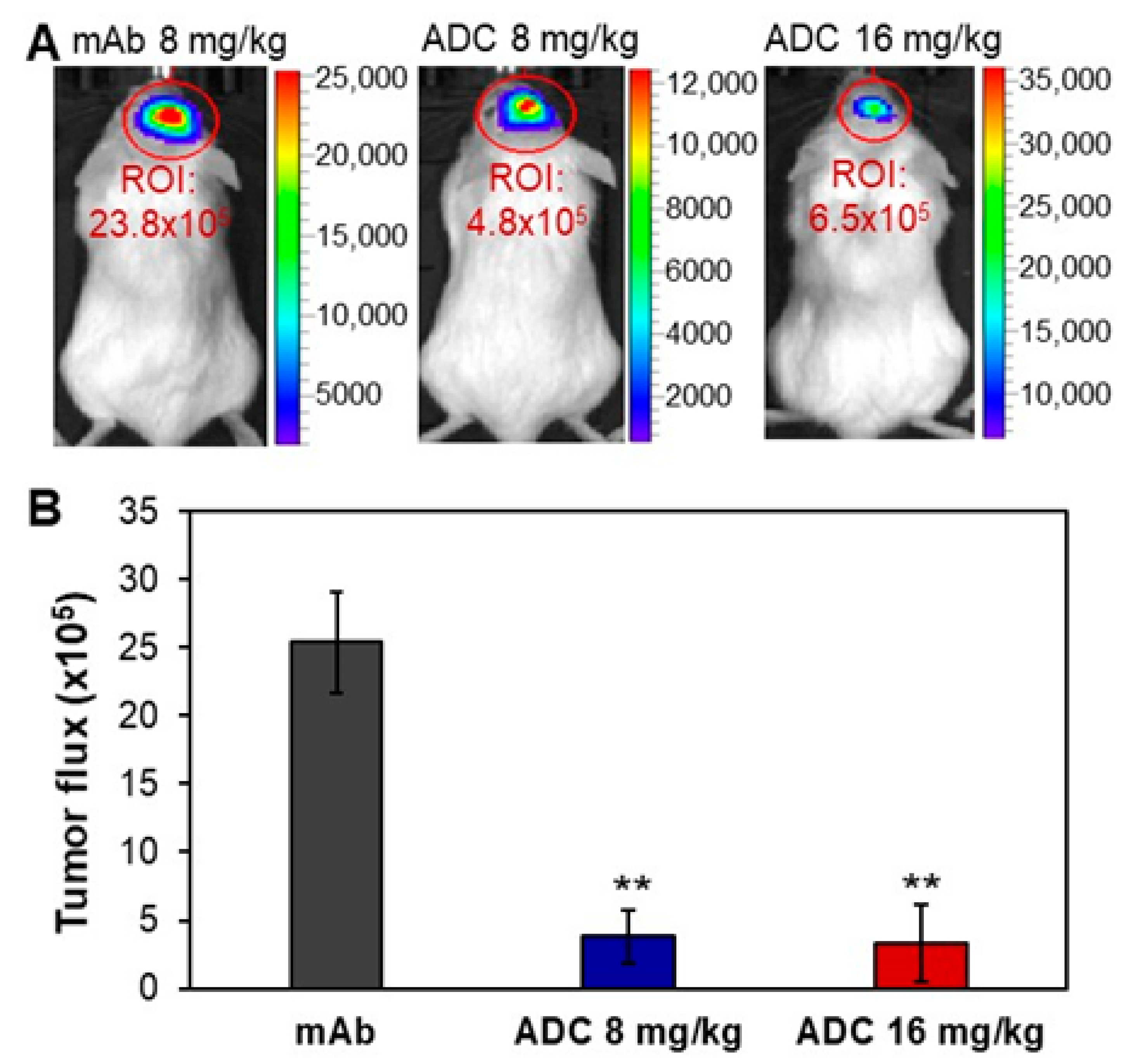 Pharmaceuticals 14 00427 g005