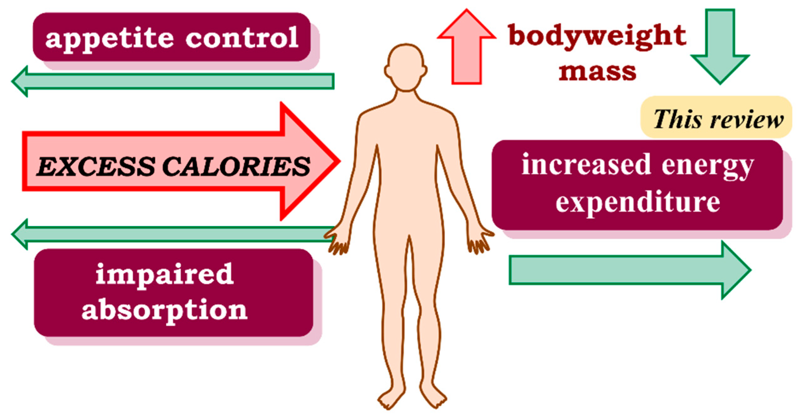 Pharmaceuticals 14 00435 g001 Pharmaceuticals 14 00435 g001