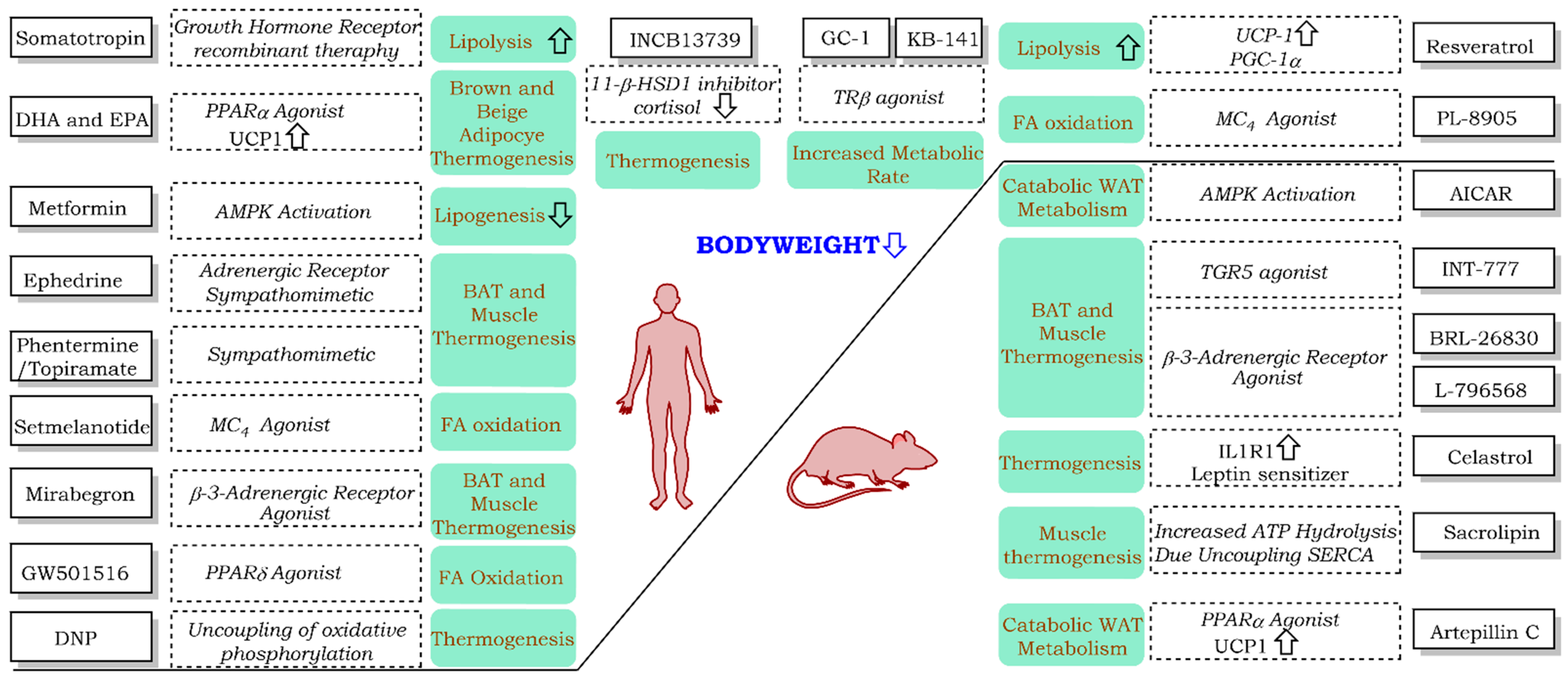 Pharmaceuticals 14 00435 g002 Pharmaceuticals 14 00435 g002
