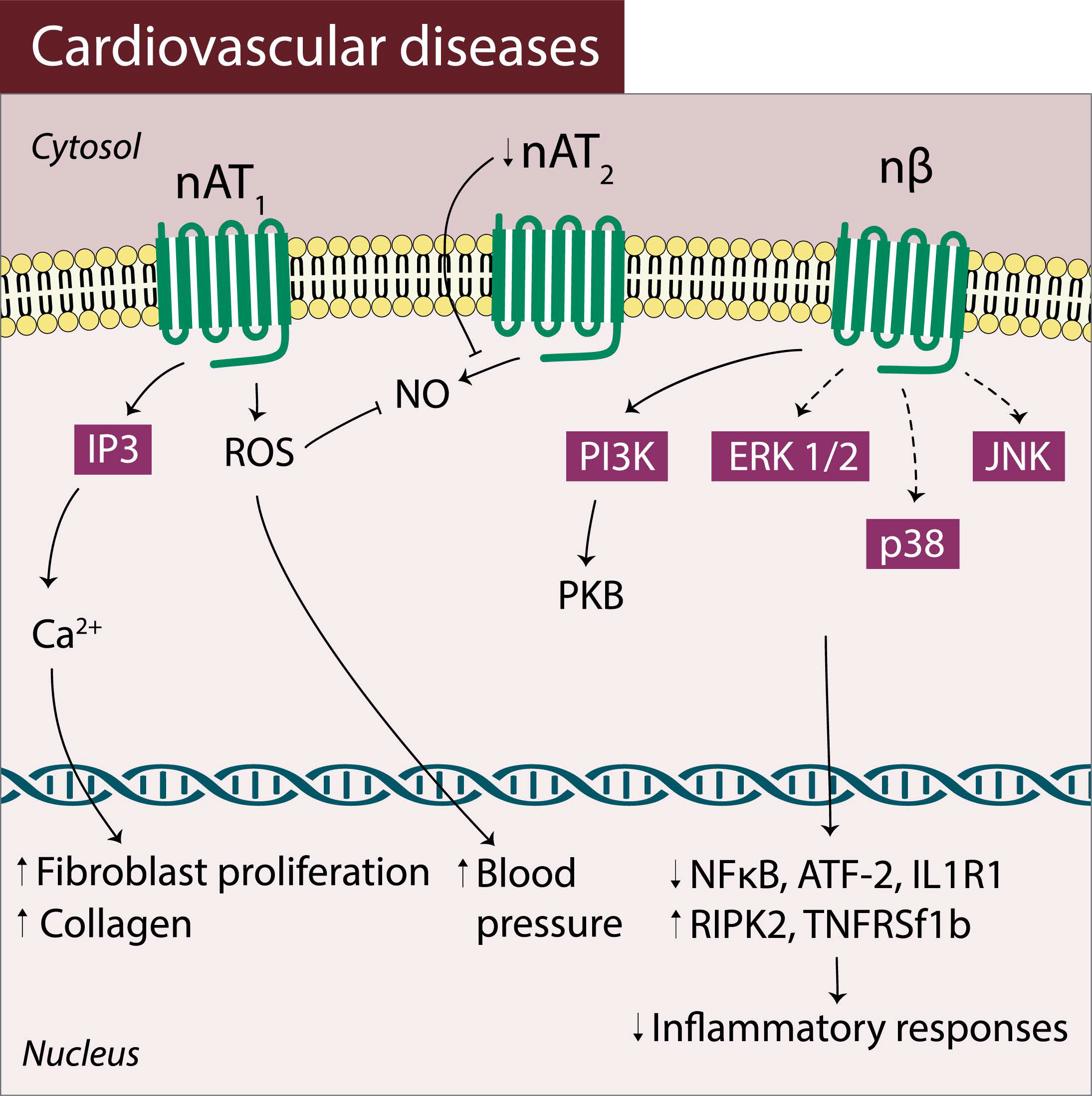 Pharmaceuticals 14 00439 g004 Pharmaceuticals 14 00439 g004