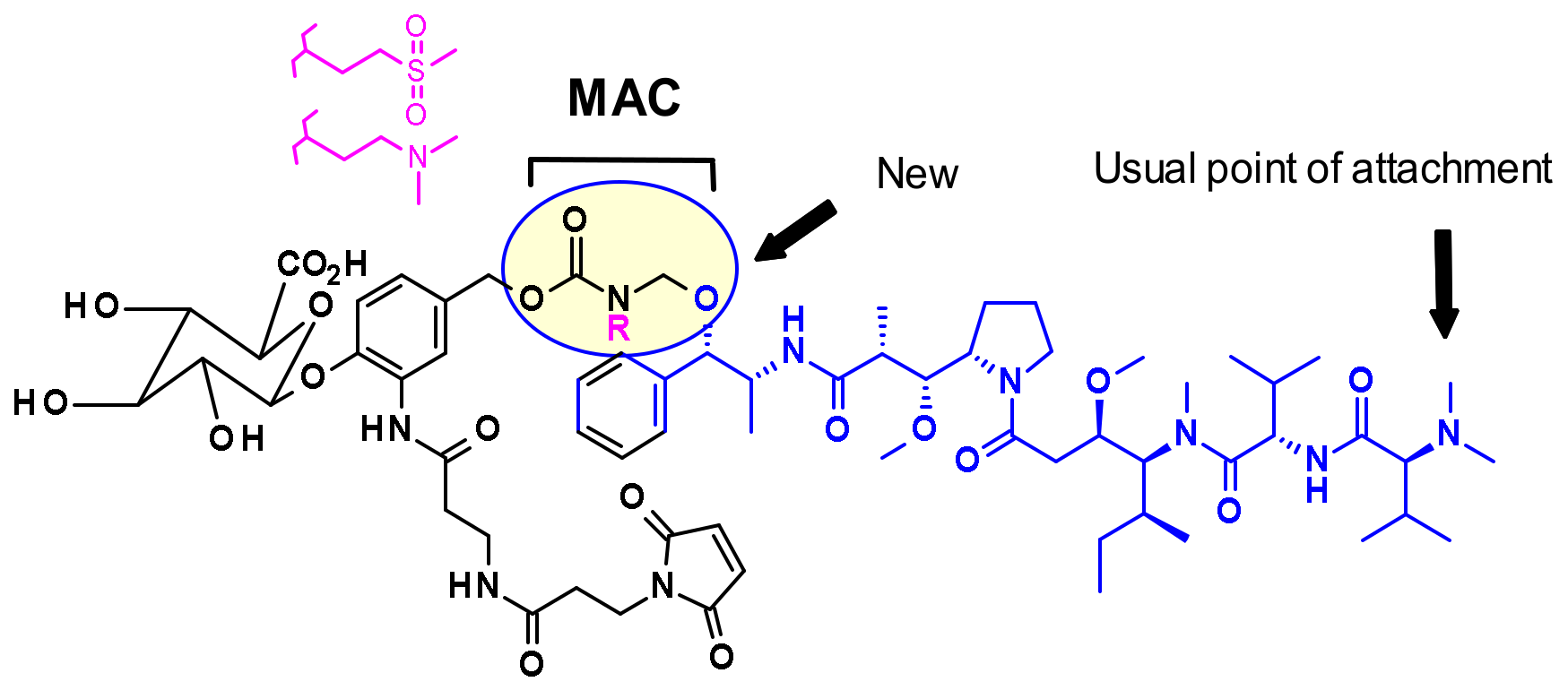 Pharmaceuticals 14 00442 g006 Pharmaceuticals 14 00442 g006
