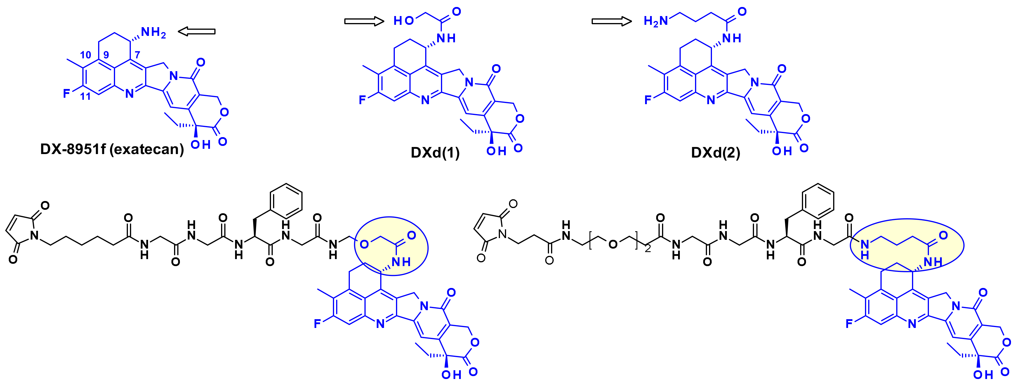Pharmaceuticals 14 00442 g025 Pharmaceuticals 14 00442 g025